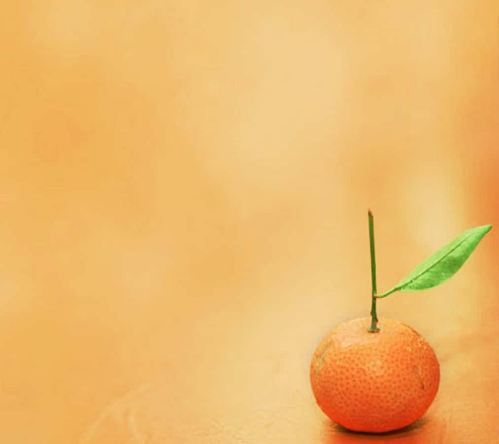 Cute Orange With A Long Stem, textured orange, green leaf, SD Desktop Wallpaper