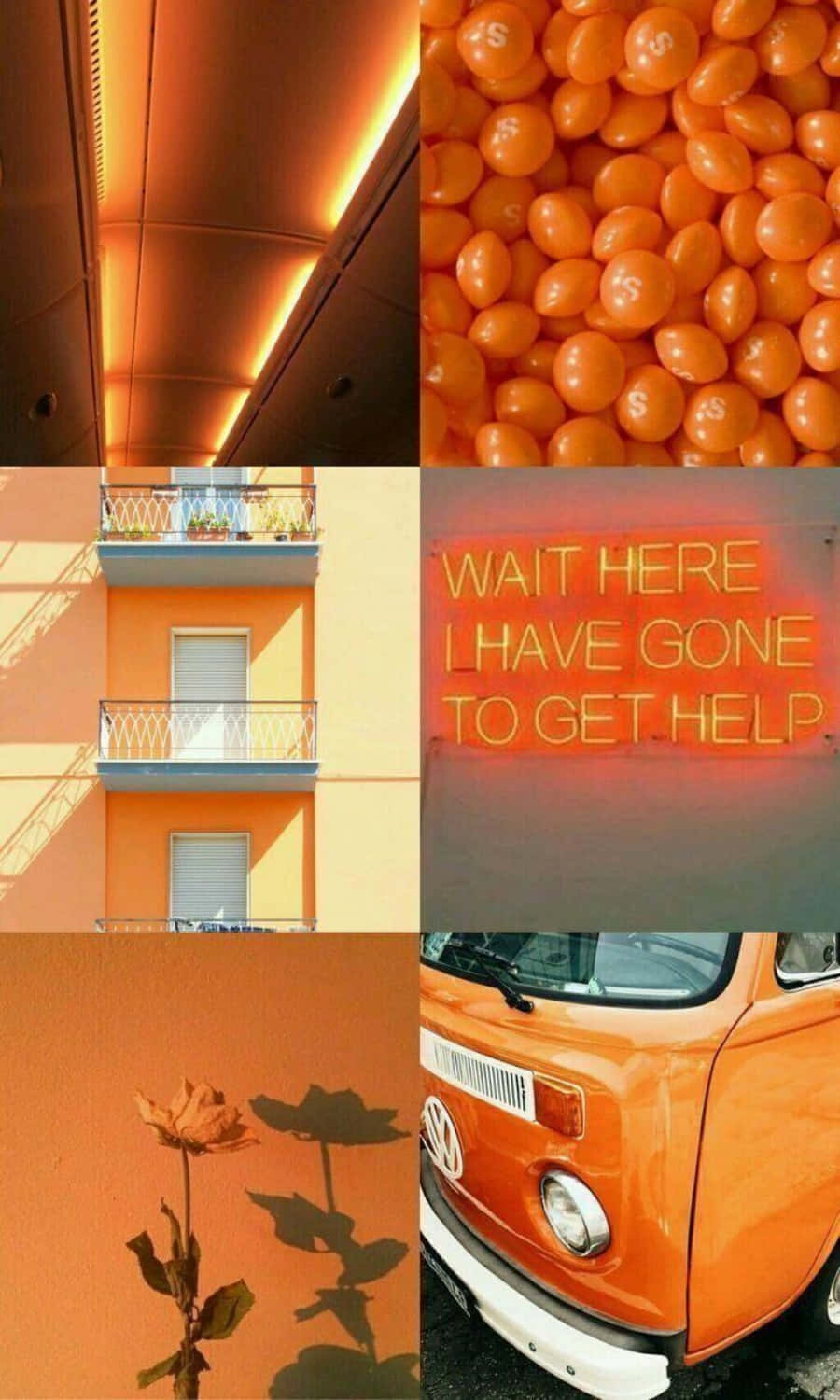 pastel orange, neon signs, candy, HD Phone Wallpaper
