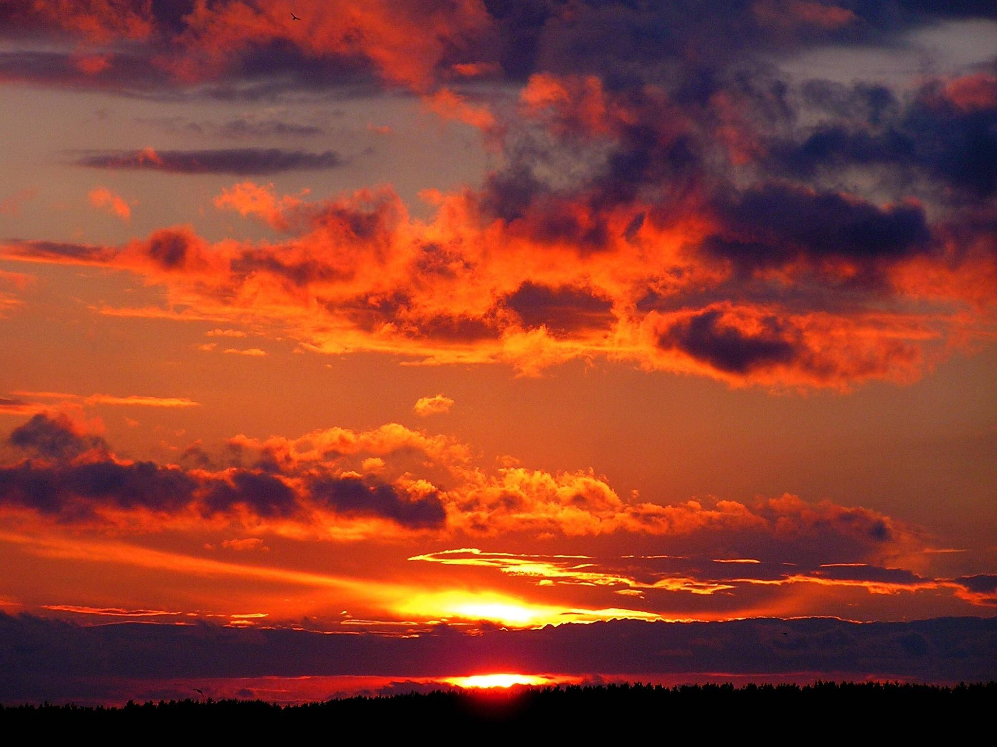 intense sunset aesthetic, fiery sunset, vivid orange, Full HD Desktop Wallpaper