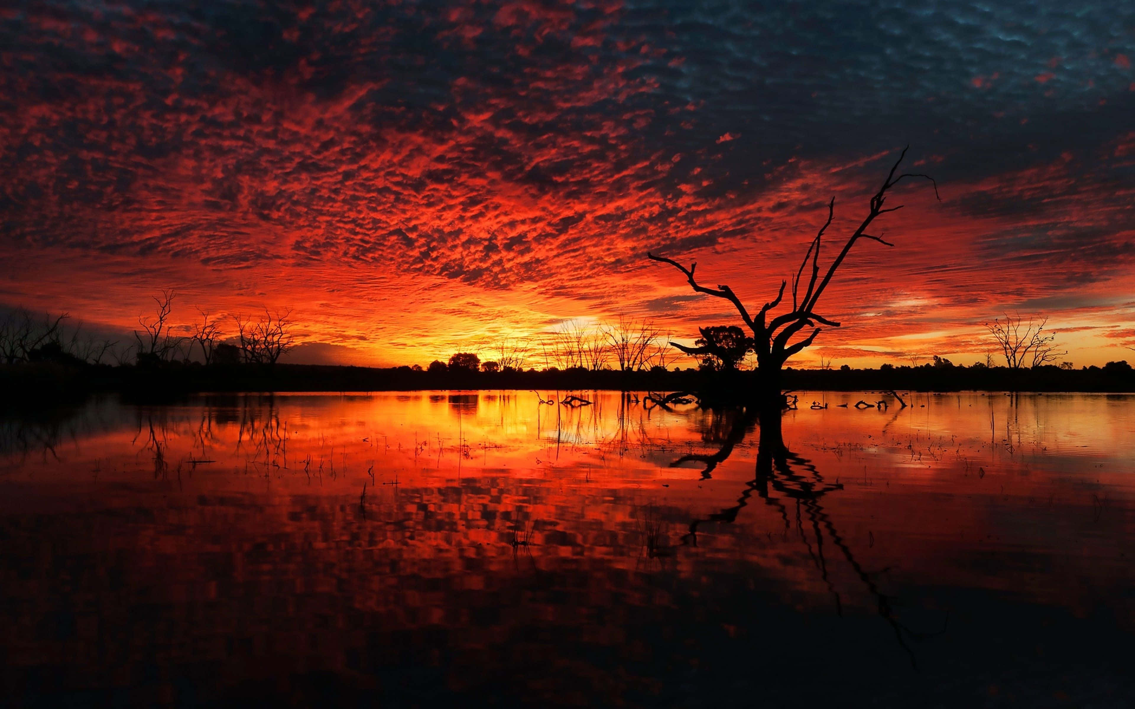 Orange Sunset, fiery red and orange sunset sky, calm water, 4K Desktop Wallpaper