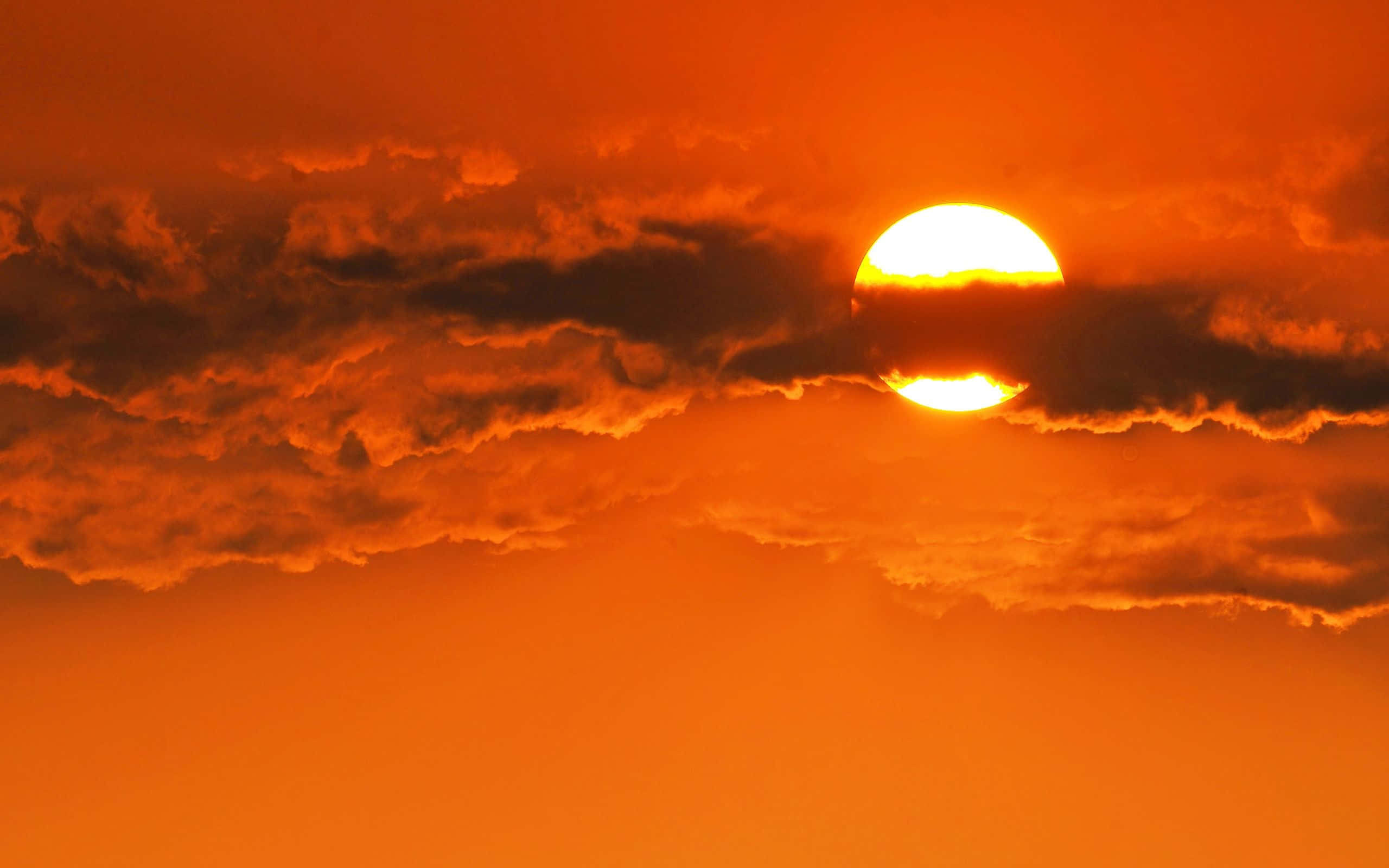 Orange Sunset, sunset, horizon, 2K Desktop Wallpaper