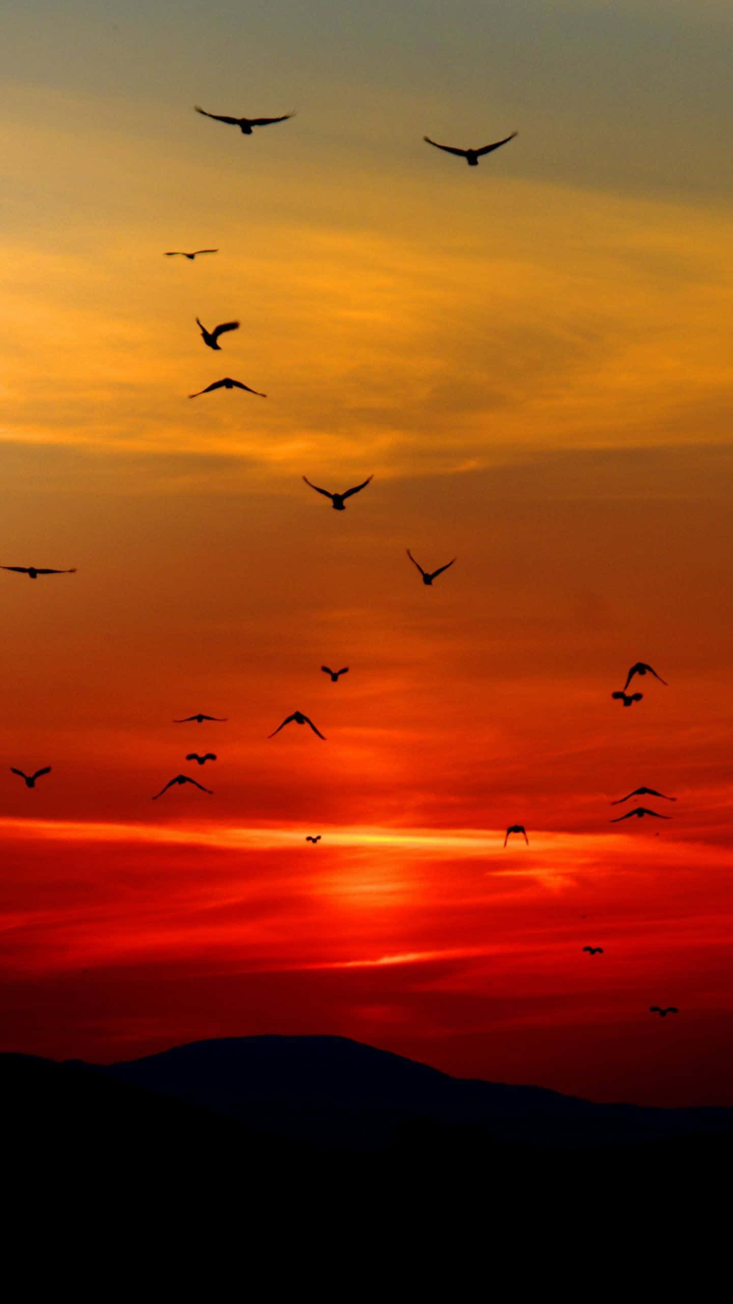 Orange Sunset, fiery sunset, dark mountain ridges, 2K Phone Wallpaper