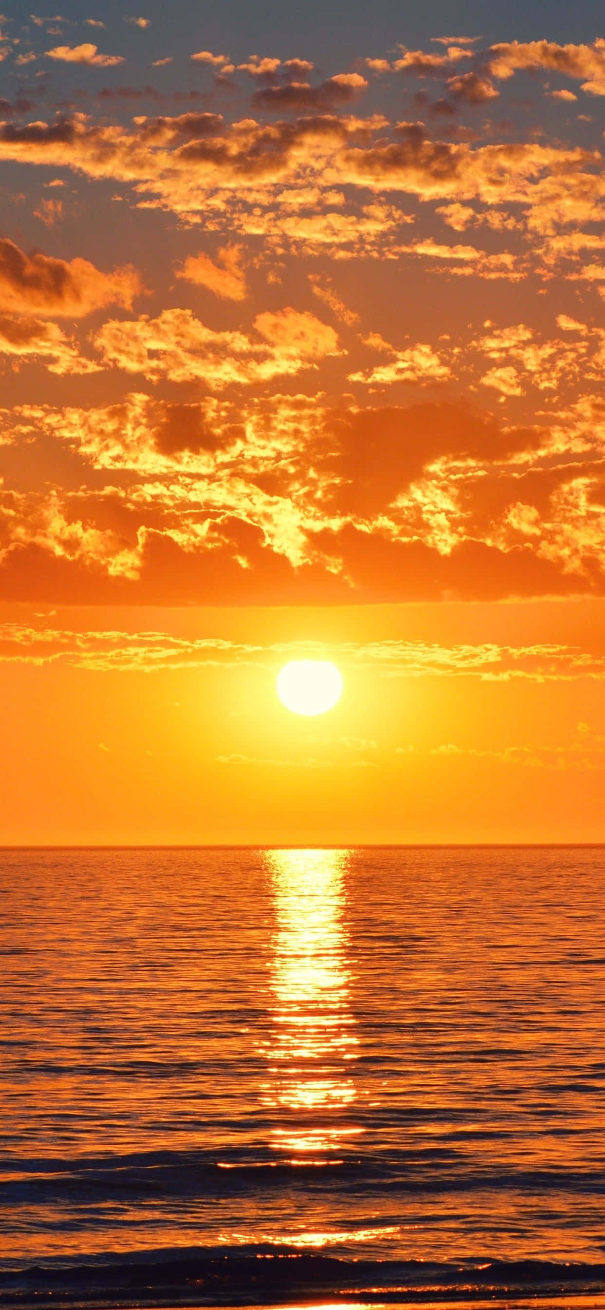 Orange Sunset, golden hour, fiery orange, 2K Phone Wallpaper