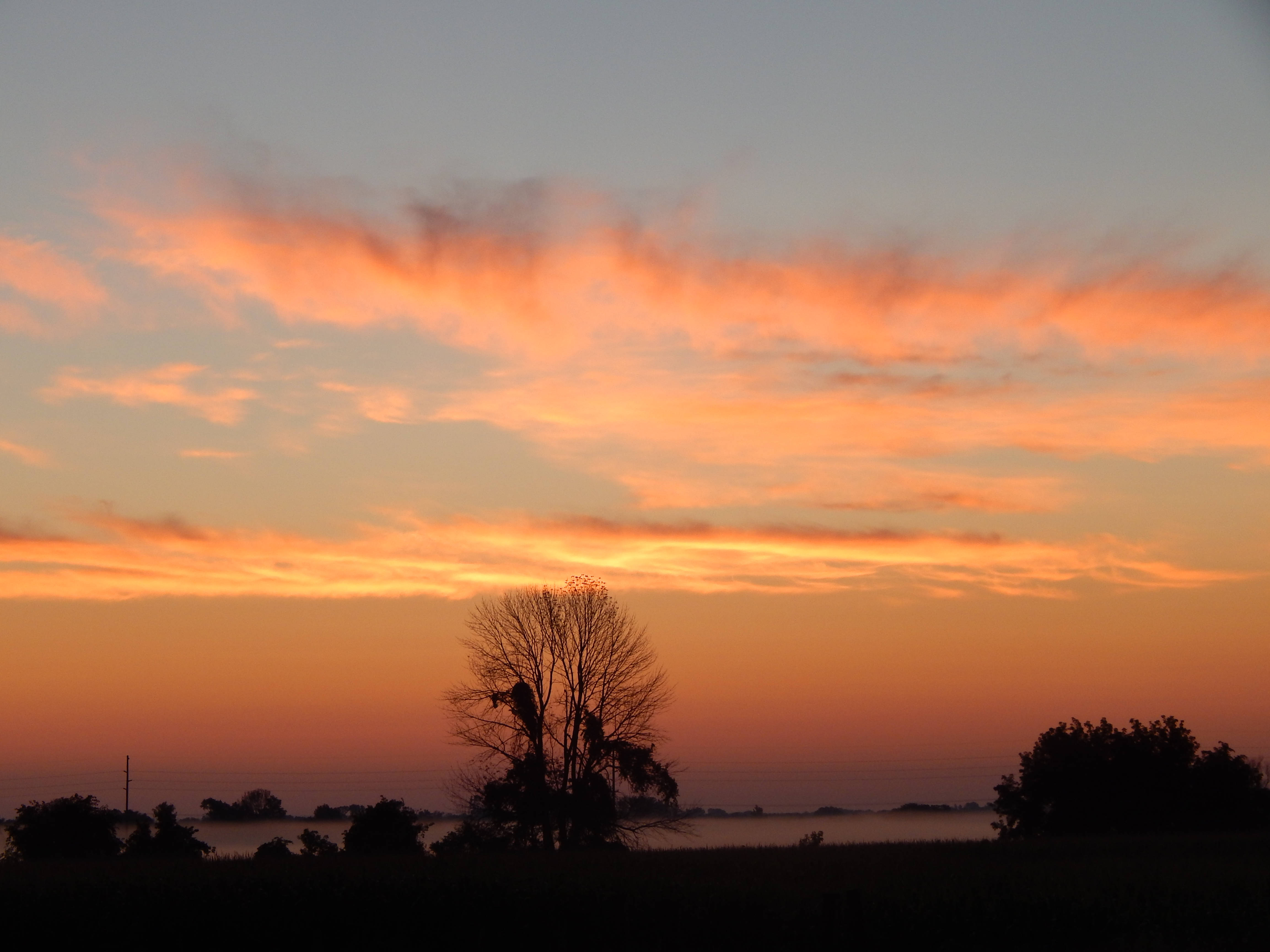 pastel orange aesthetic sunset, fiery orange and pink sunset sky, misty field, 4K Desktop Wallpaper