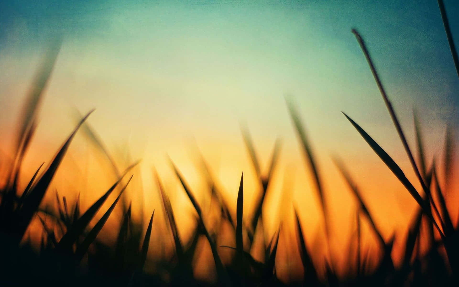 Orange Sunset, golden sunset, teal, Full HD Desktop Wallpaper