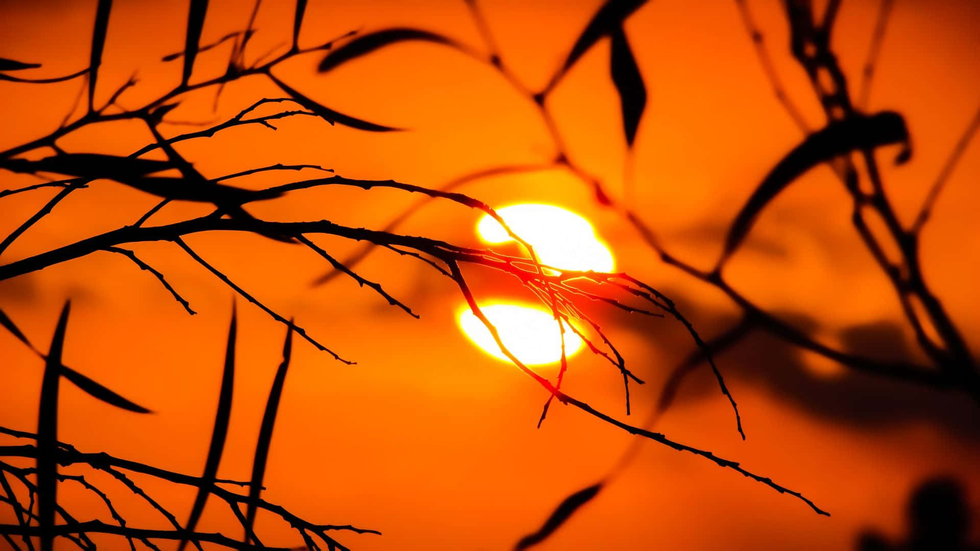 Orange Sunset, ocean, glowing orange sun, Full HD Desktop Wallpaper