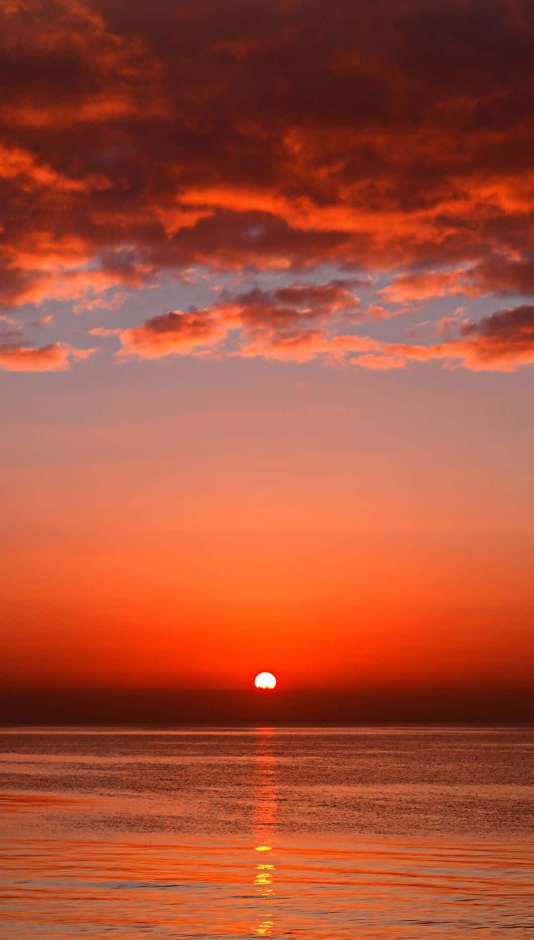 Orange Sunset, horizon, sky, HD Phone Wallpaper