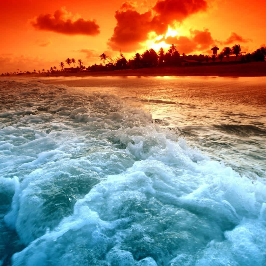 Orange Sunset, turquoise ocean, sandy shore, SD Desktop Wallpaper