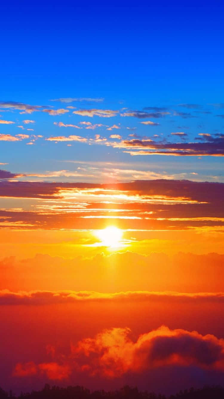 Orange Sunset, fiery orange, deep blue, HD Phone Wallpaper