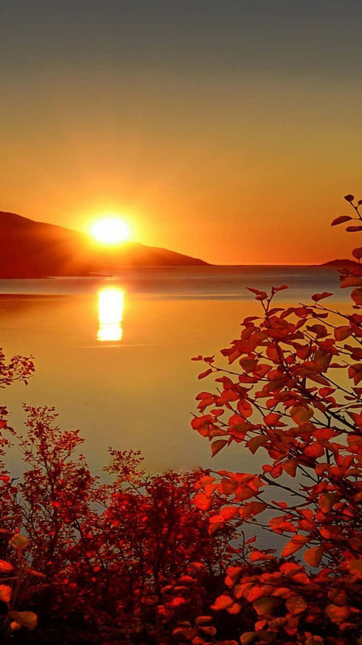 Orange Sunset, calm lake, fiery orange sky, HD Phone Wallpaper