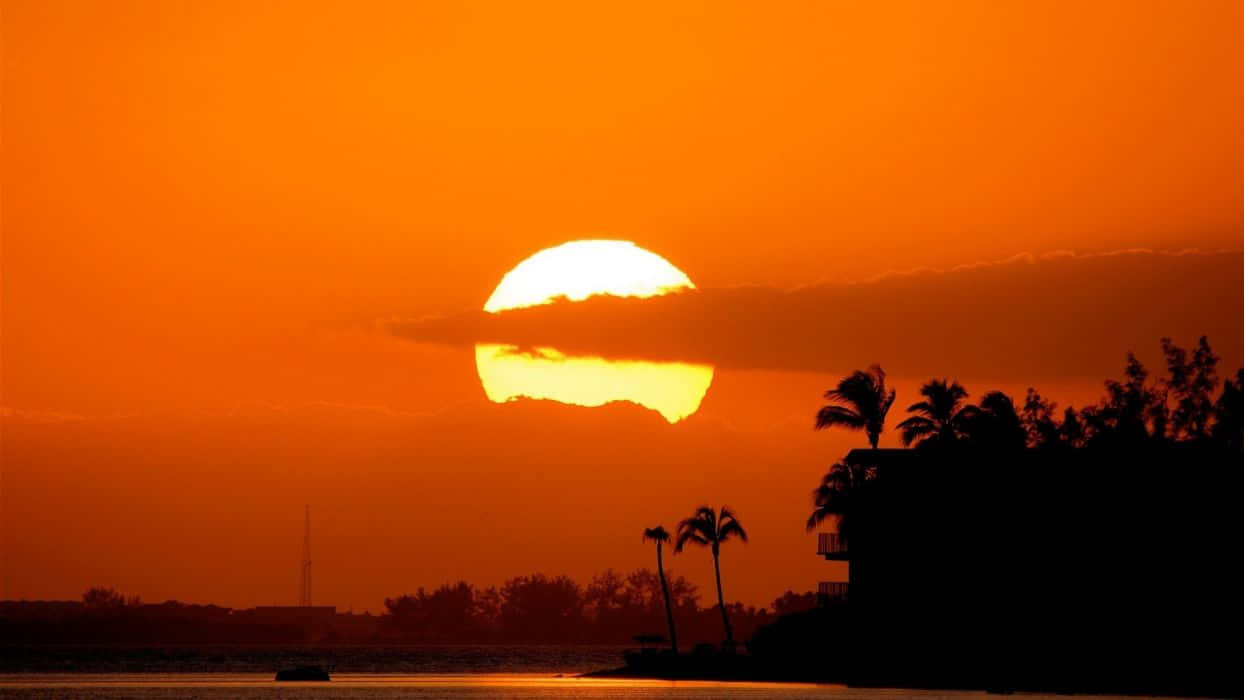 orange sunset, ocean, golden light, SD Desktop Wallpaper