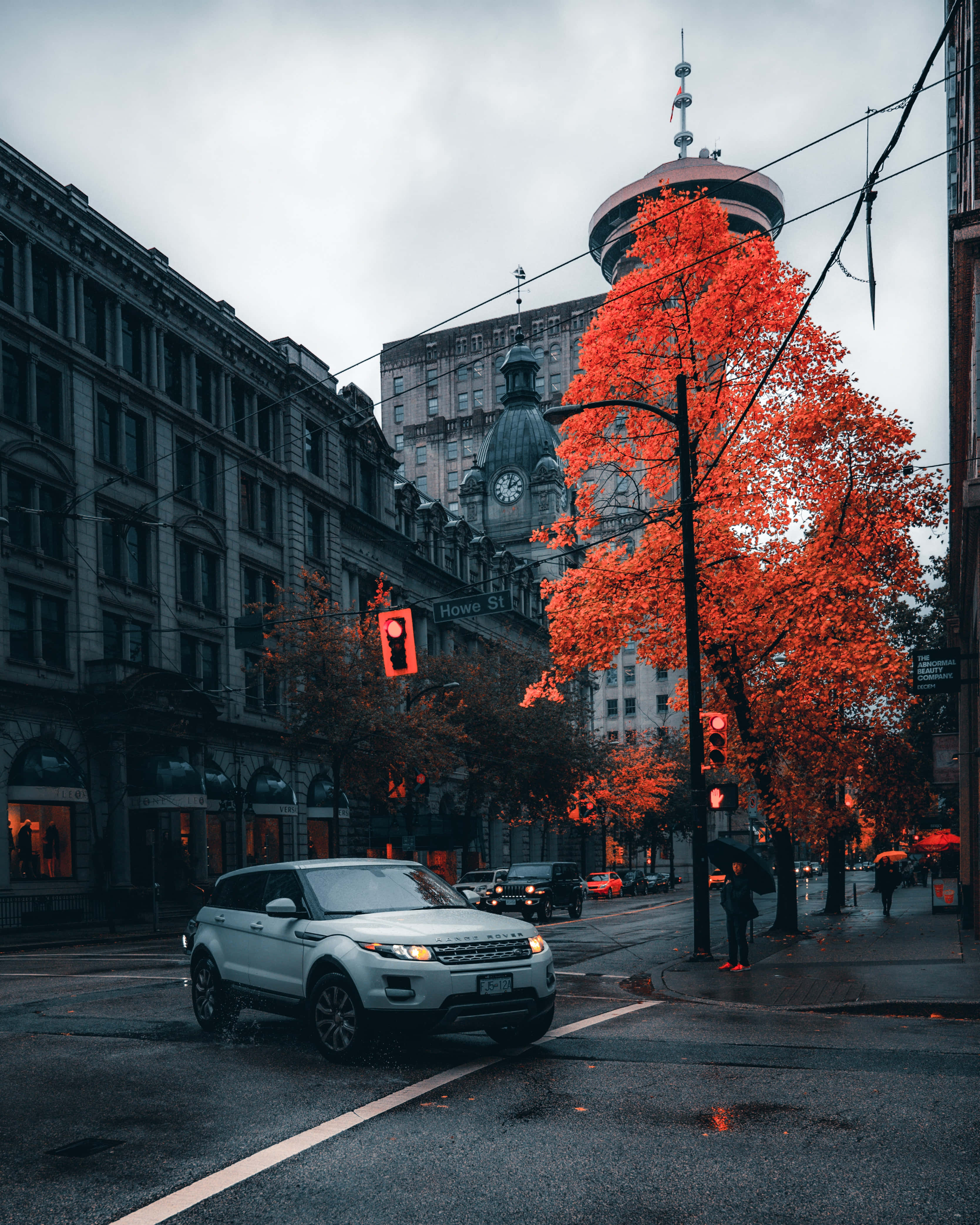 white SUV, red light, vibrant orange autumn tree, 4K Phone Wallpaper
