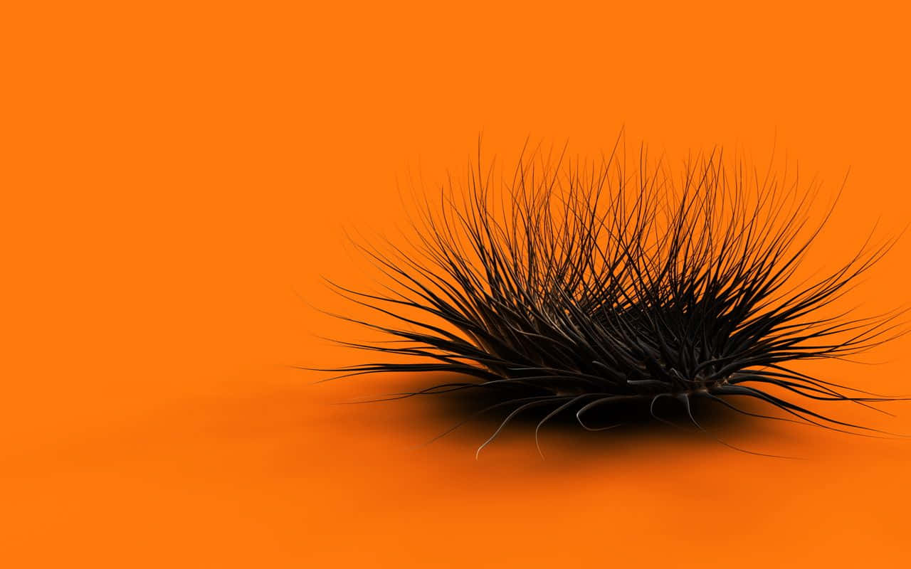 black spiky caterpillar, vibrant orange background, soft shadow, HD Desktop Wallpaper