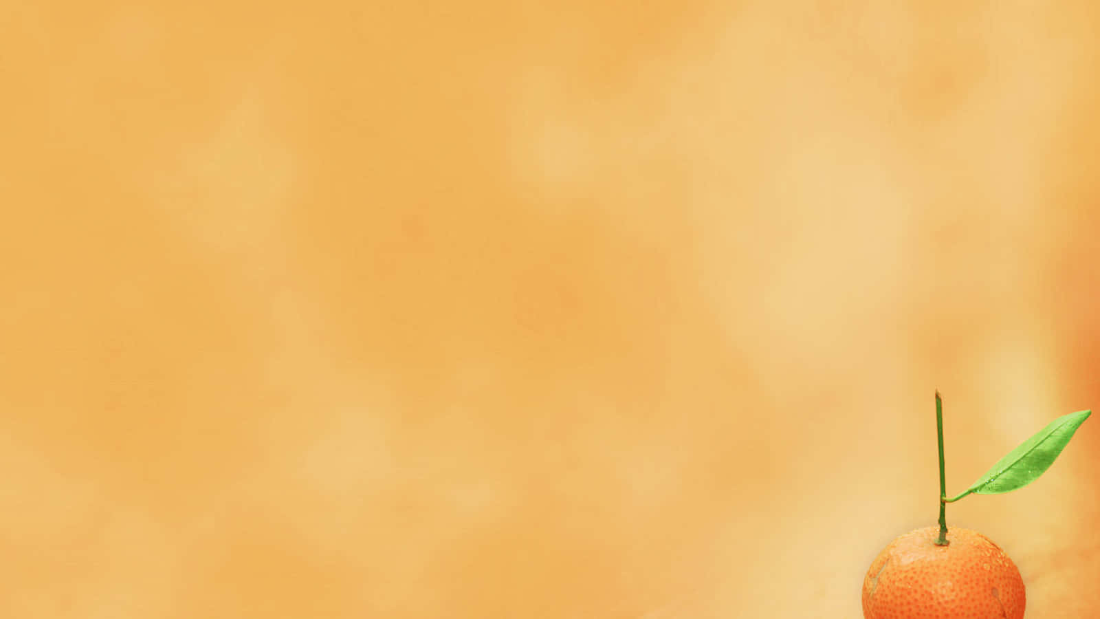 tangerine, green leaf, soft gradient orange background, HD Desktop Wallpaper