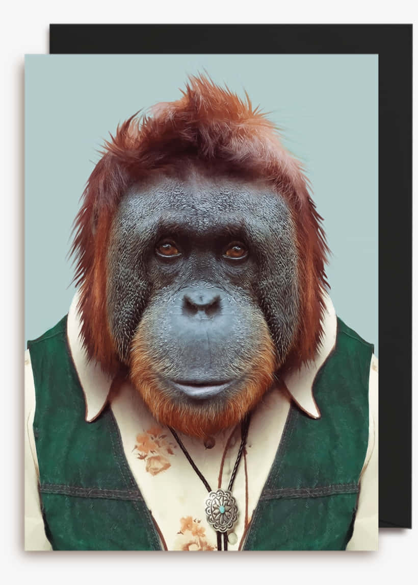 orangutan, green vest, floral shirt, SD Phone Wallpaper