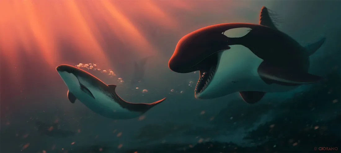 Orca Wallpapers