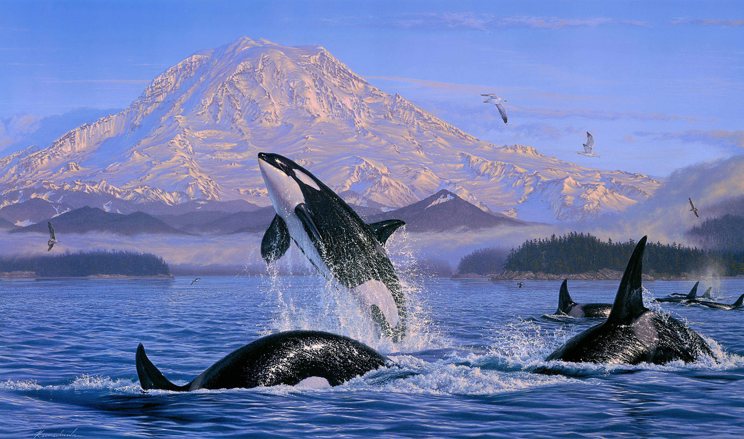 Orca, mountain, deep blue waters, 2K Desktop Wallpaper