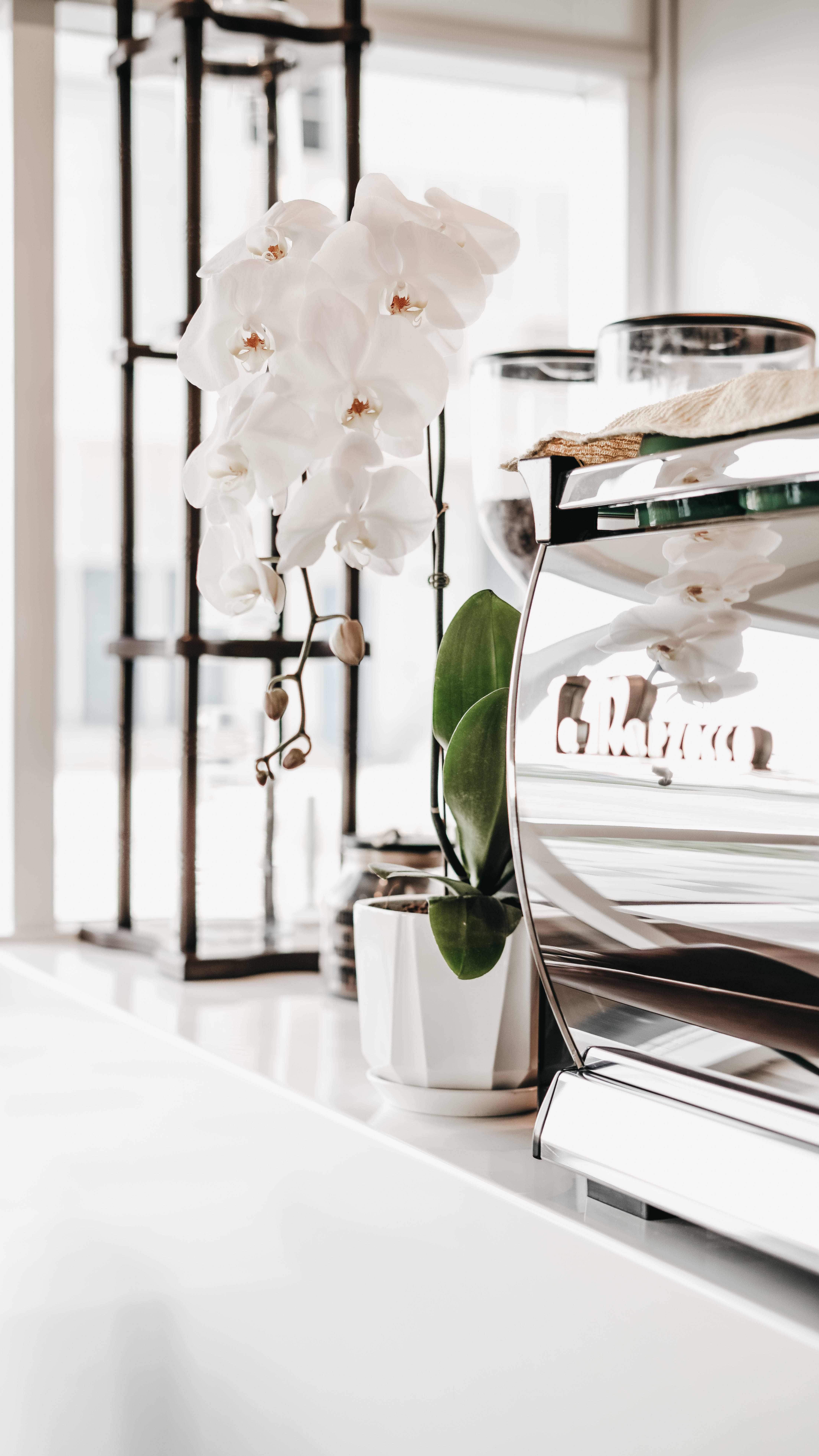 white orchid, ceramic vase, espresso machine, 8K Phone Wallpaper