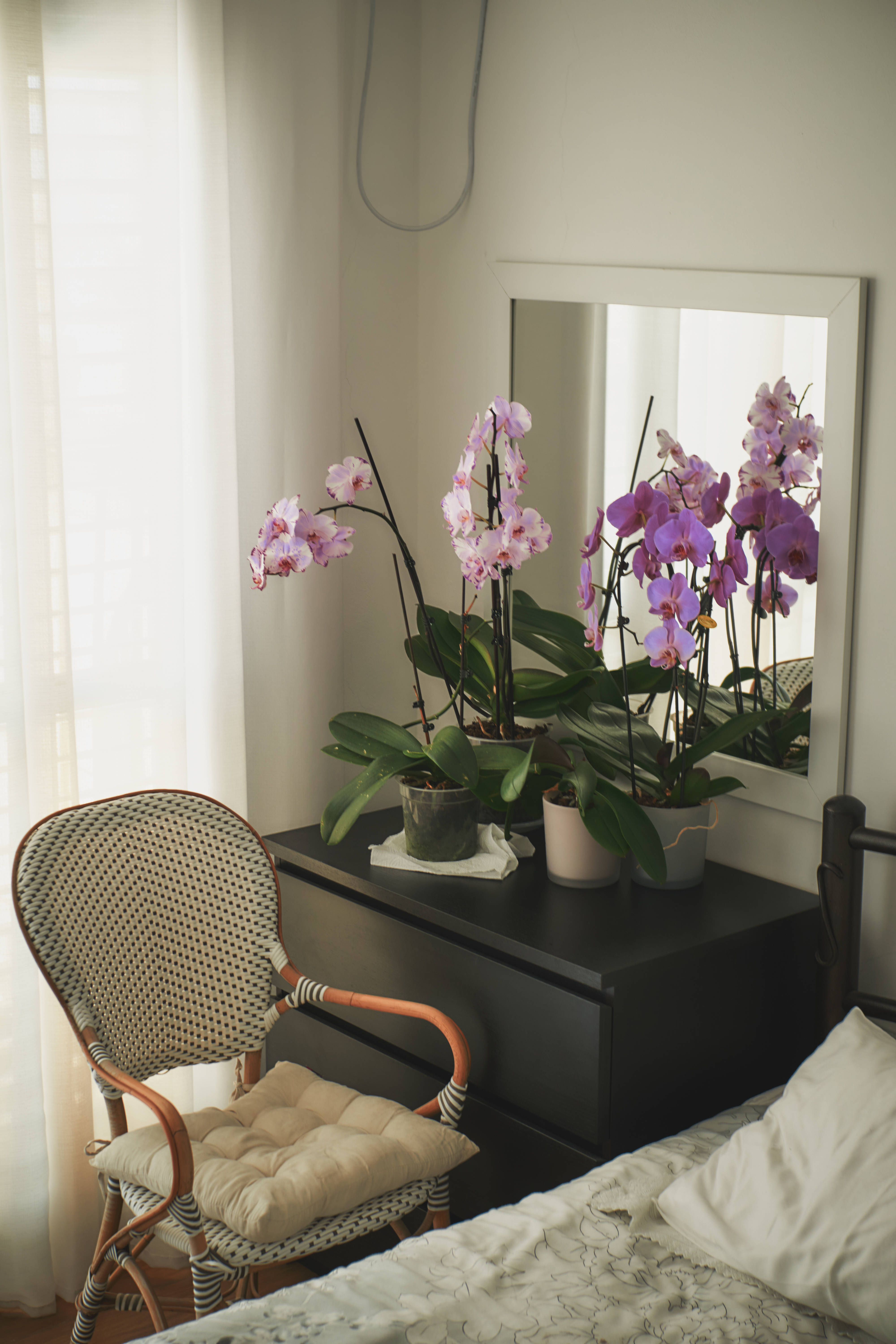 purple orchids, rattan chair, black dresser, 5K Phone Wallpaper