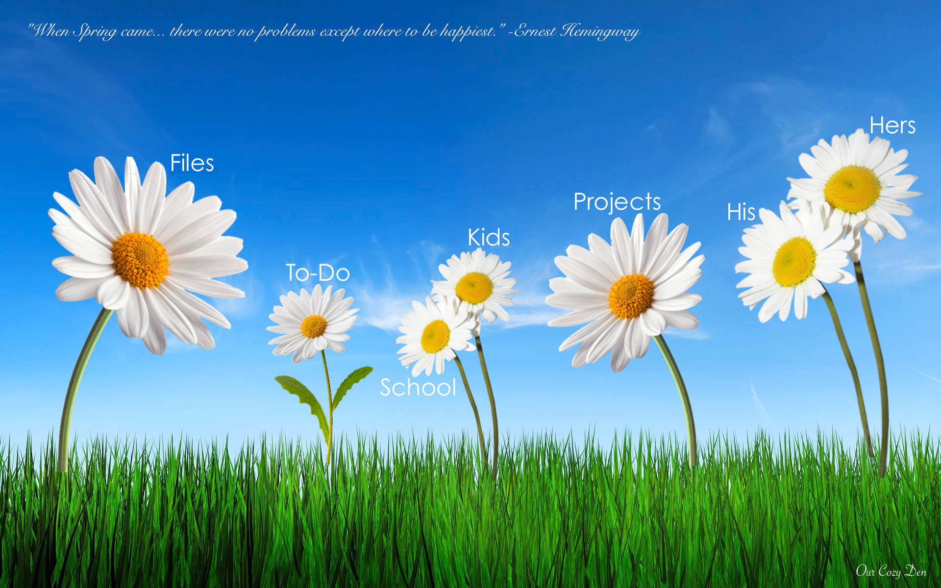 White Flower Desktop Organizer, daisies, green grass, Full HD Desktop Wallpaper