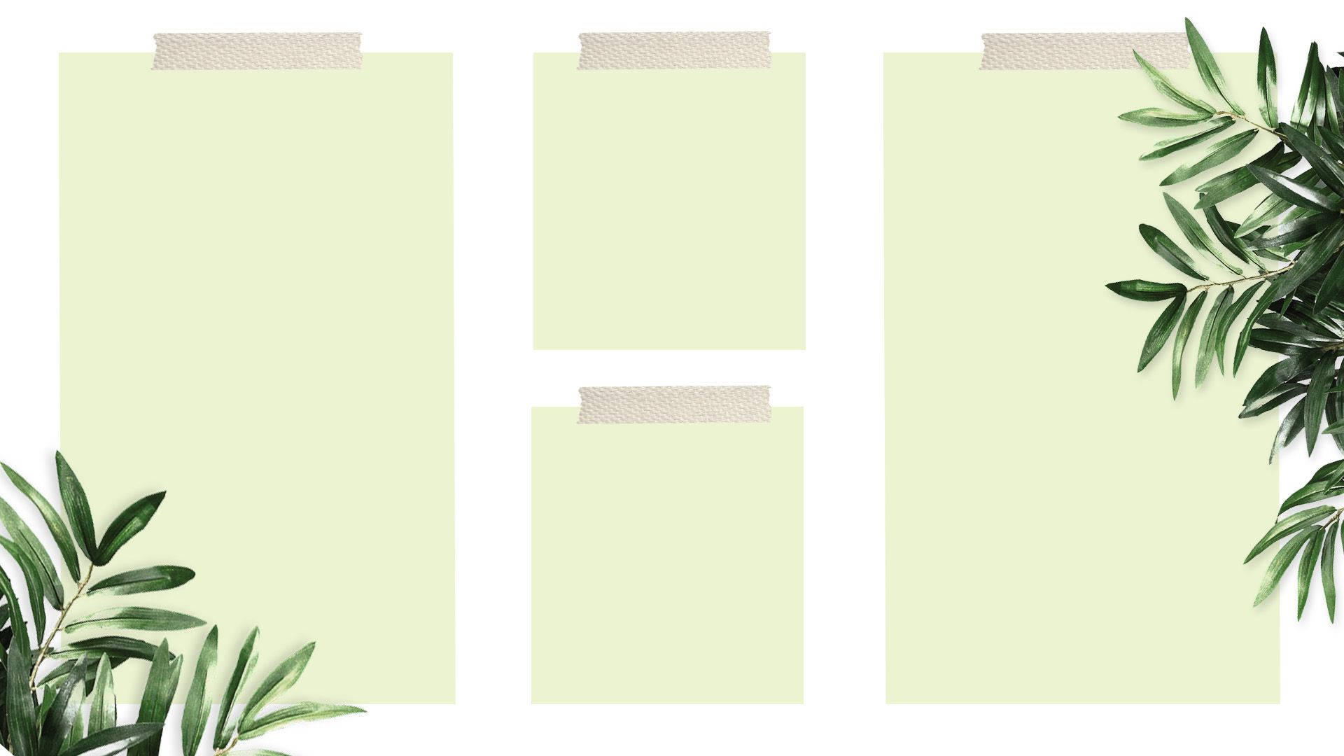 plant desktop organizer, pale green paper sheets, white background, Full HD Desktop Wallpaper