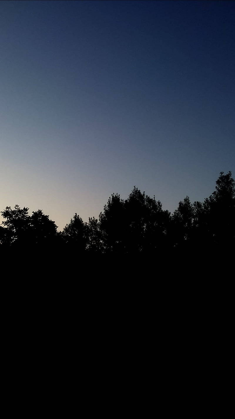Original iPhone 4, trees silhouettes, twilight sky, HD Phone Wallpaper