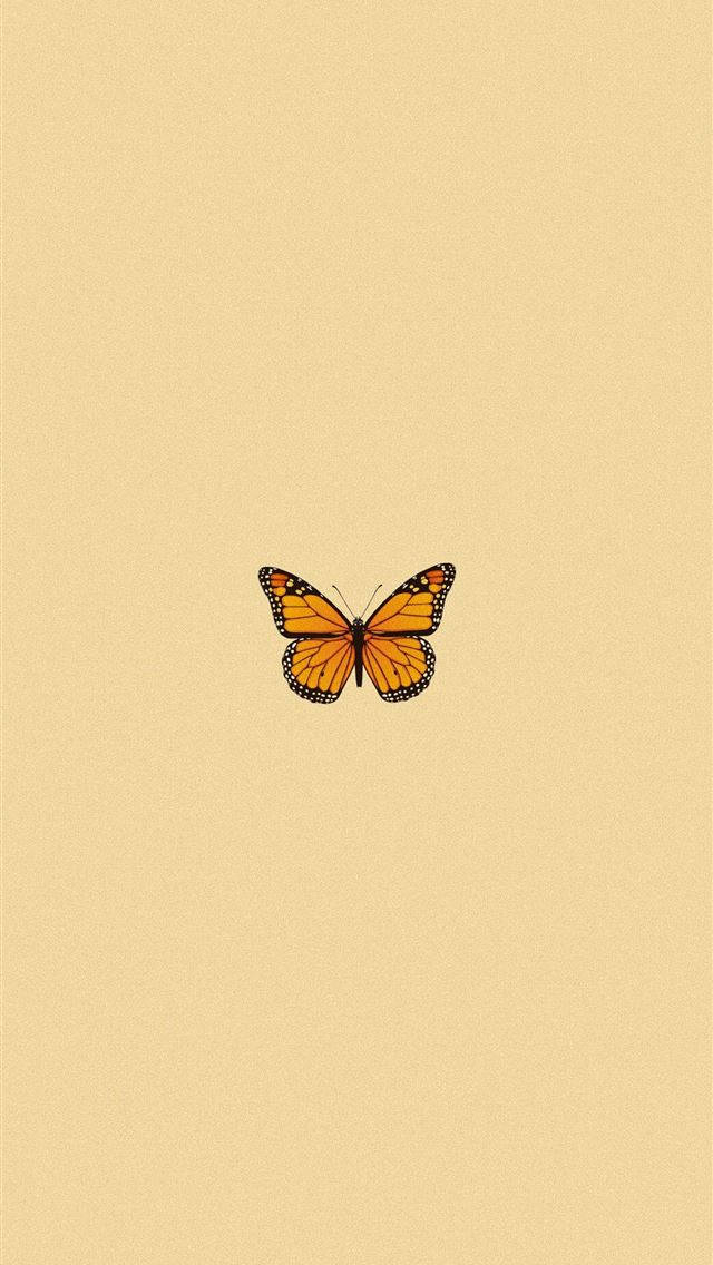 Original iPhone 4, monarch butterfly, orange wings, SD Phone Wallpaper