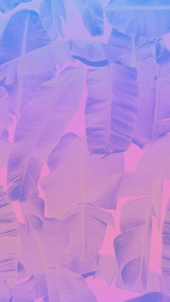 Original iPhone, banana leaves, vibrant purple, SD Phone Wallpaper