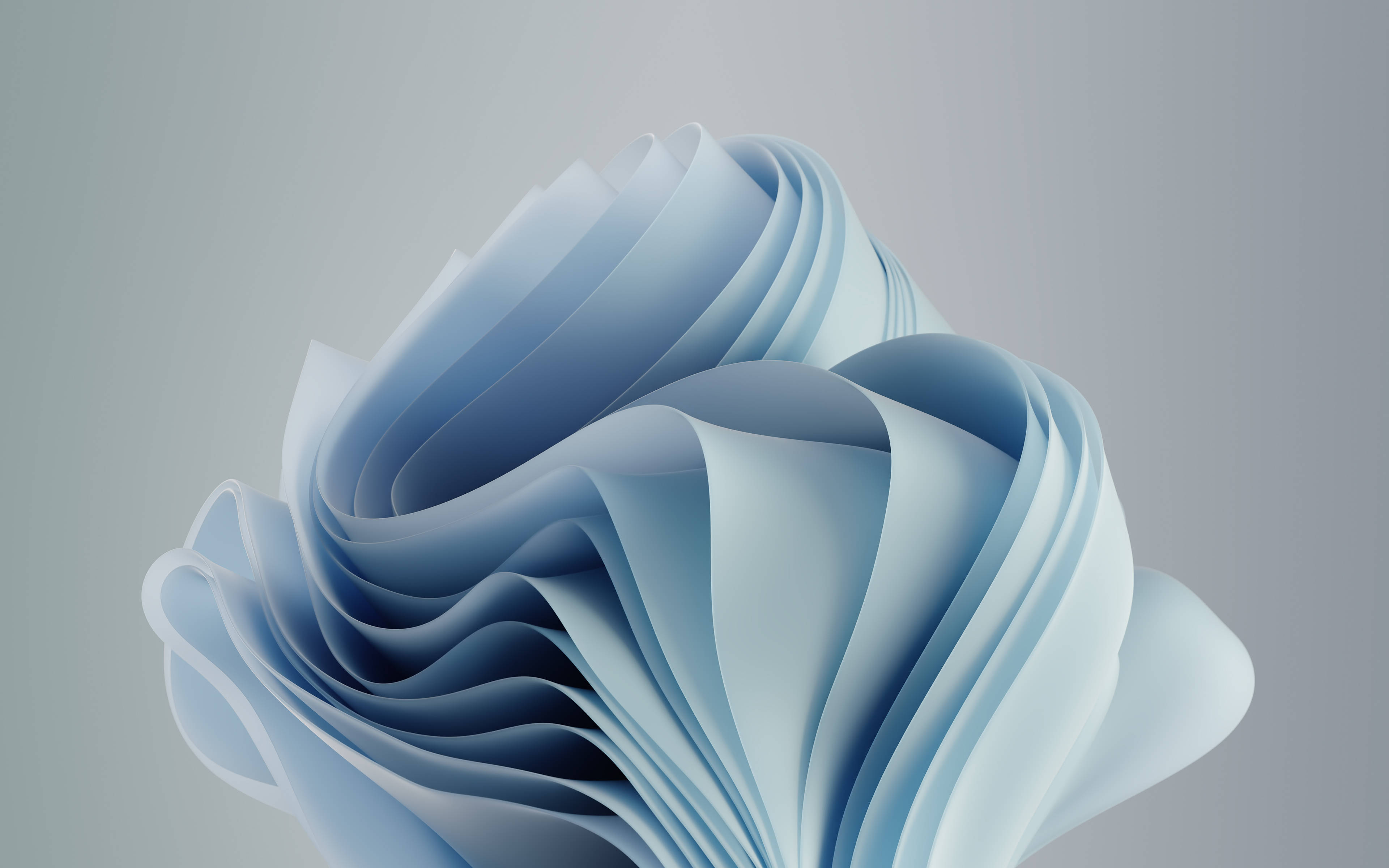 Windows 11, light blue bloom, blue ribbons, 4K Desktop Wallpaper