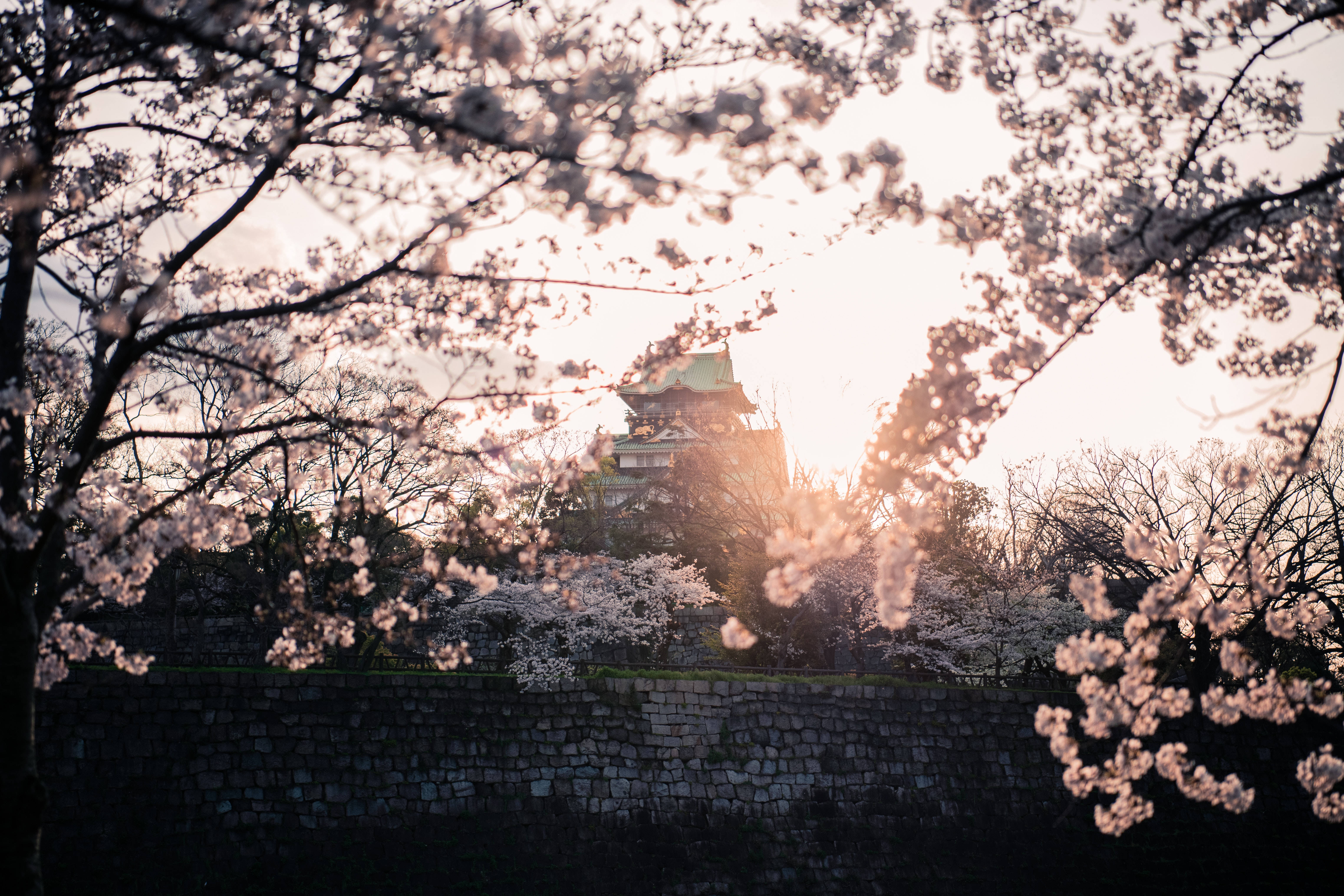 Osaka Castle, twilight, sun rays, 5K Desktop Wallpaper