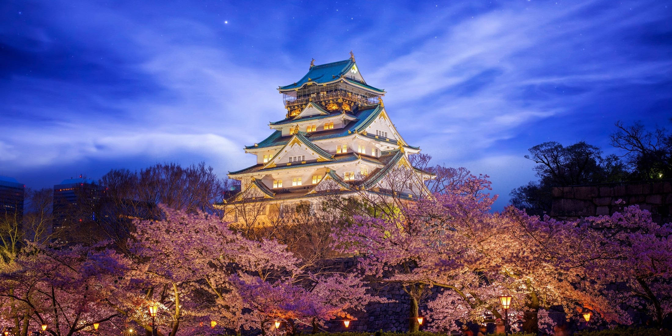 Osaka Castle, cherry blossoms, twilight, Full HD Desktop Wallpaper