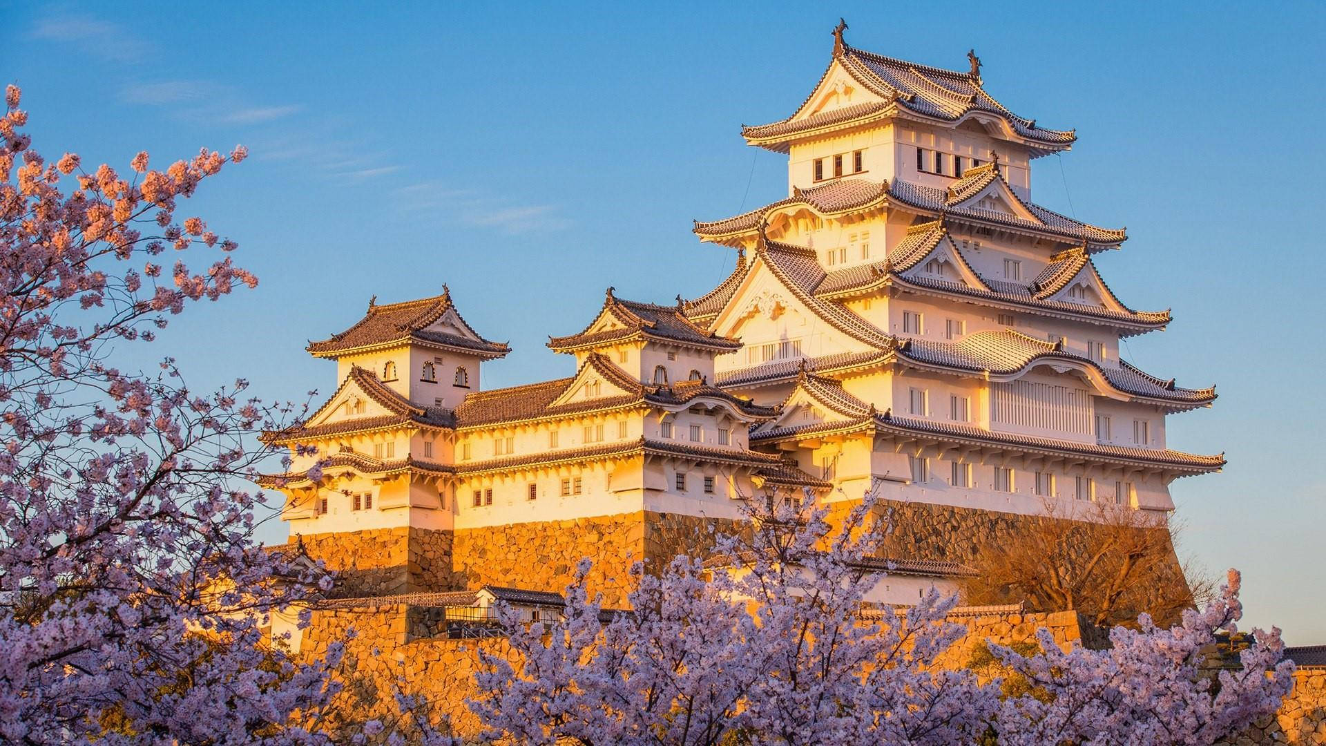 Osaka Castle, golden sunset light, pink cherry blossoms, Full HD Desktop Wallpaper