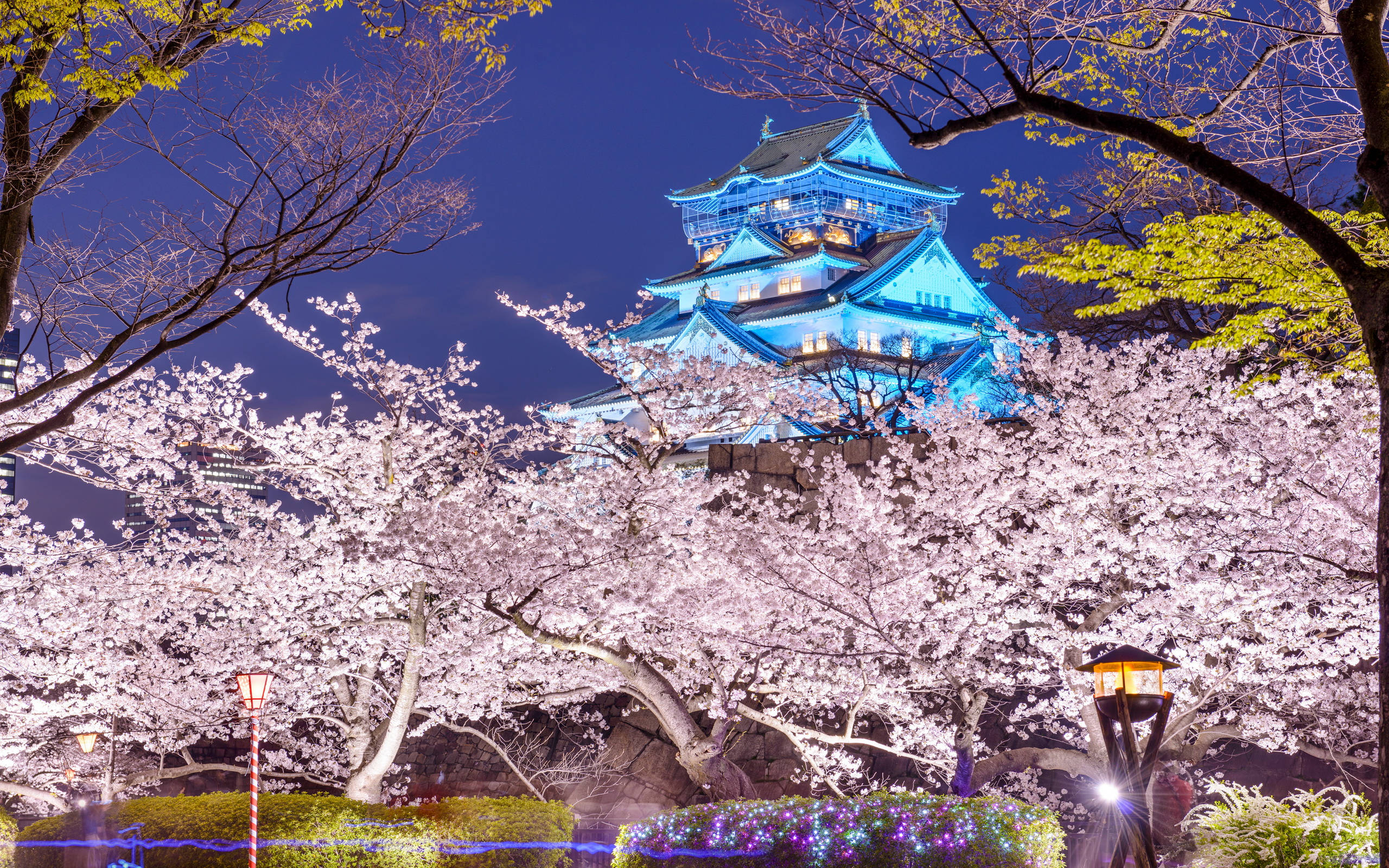 Osaka Castle, blue light, glowing cherry blossoms, 2K Desktop Wallpaper