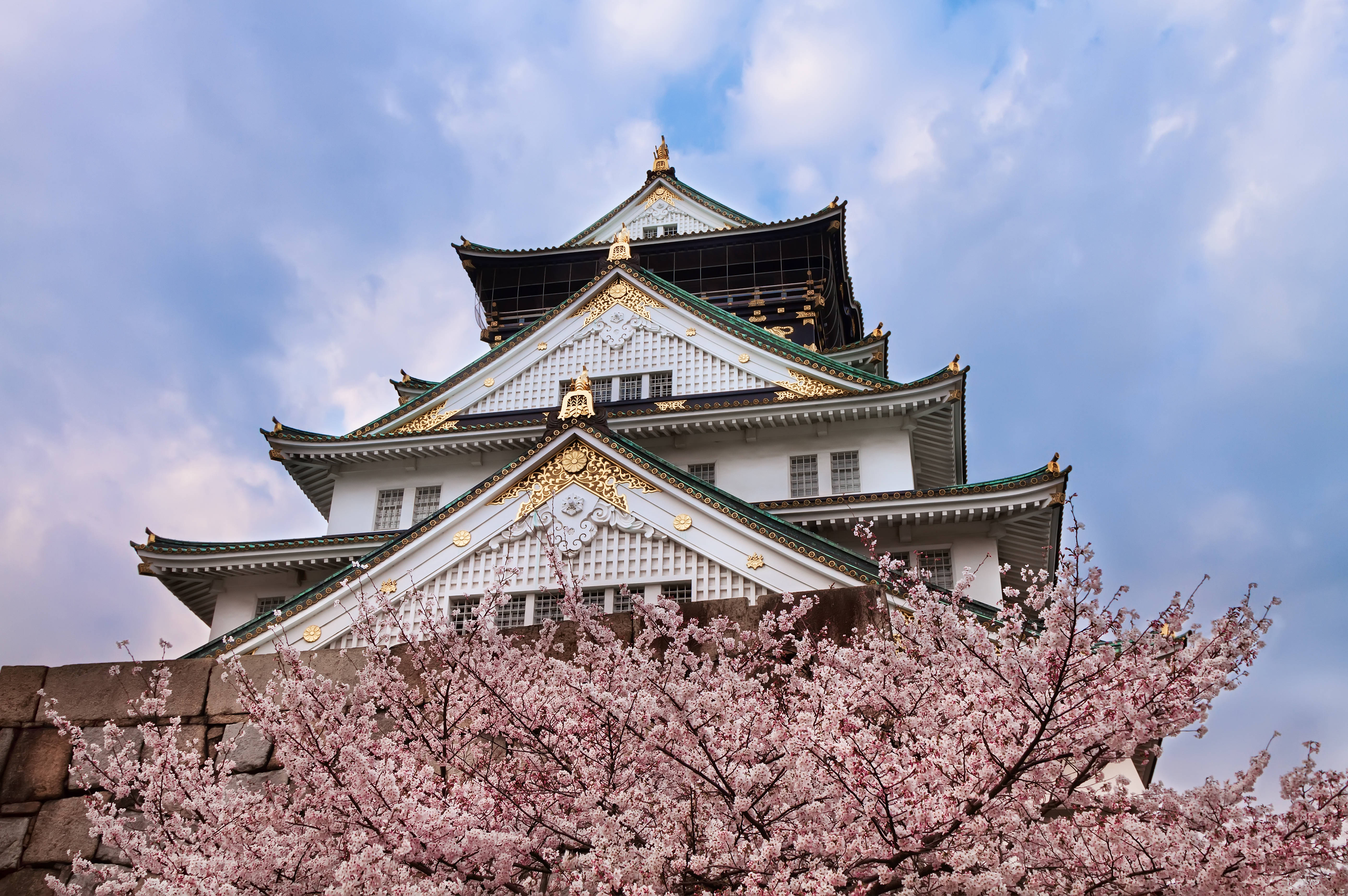 Osaka Castle, golden ornament leaf, white walls, 5K Desktop Wallpaper
