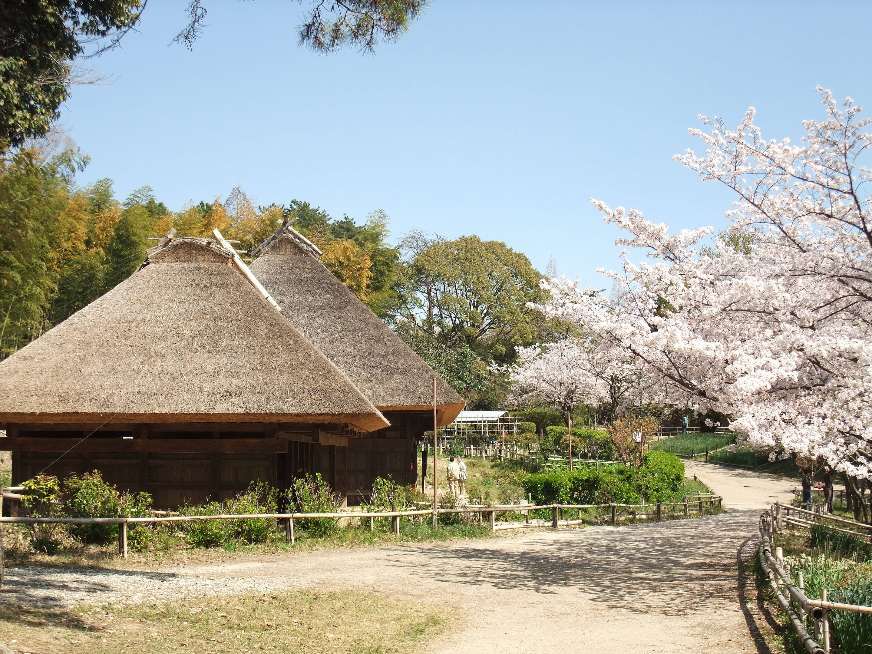 Osaka, Japanese farm house, thatched-roof, 2K Desktop Wallpaper