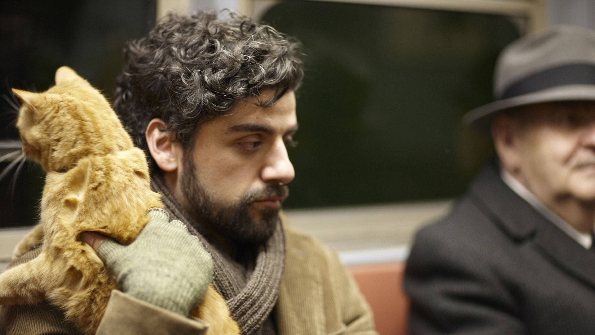 Oscar Isaac, ginger cat, subway train, Full HD Desktop Wallpaper
