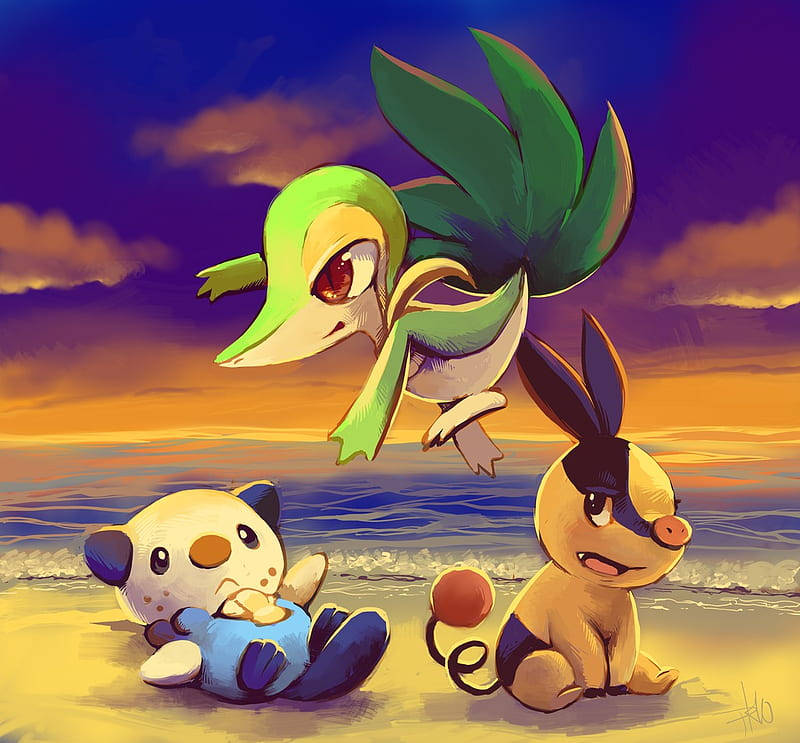 Oshawott, seashore, sunset, SD Desktop Wallpaper