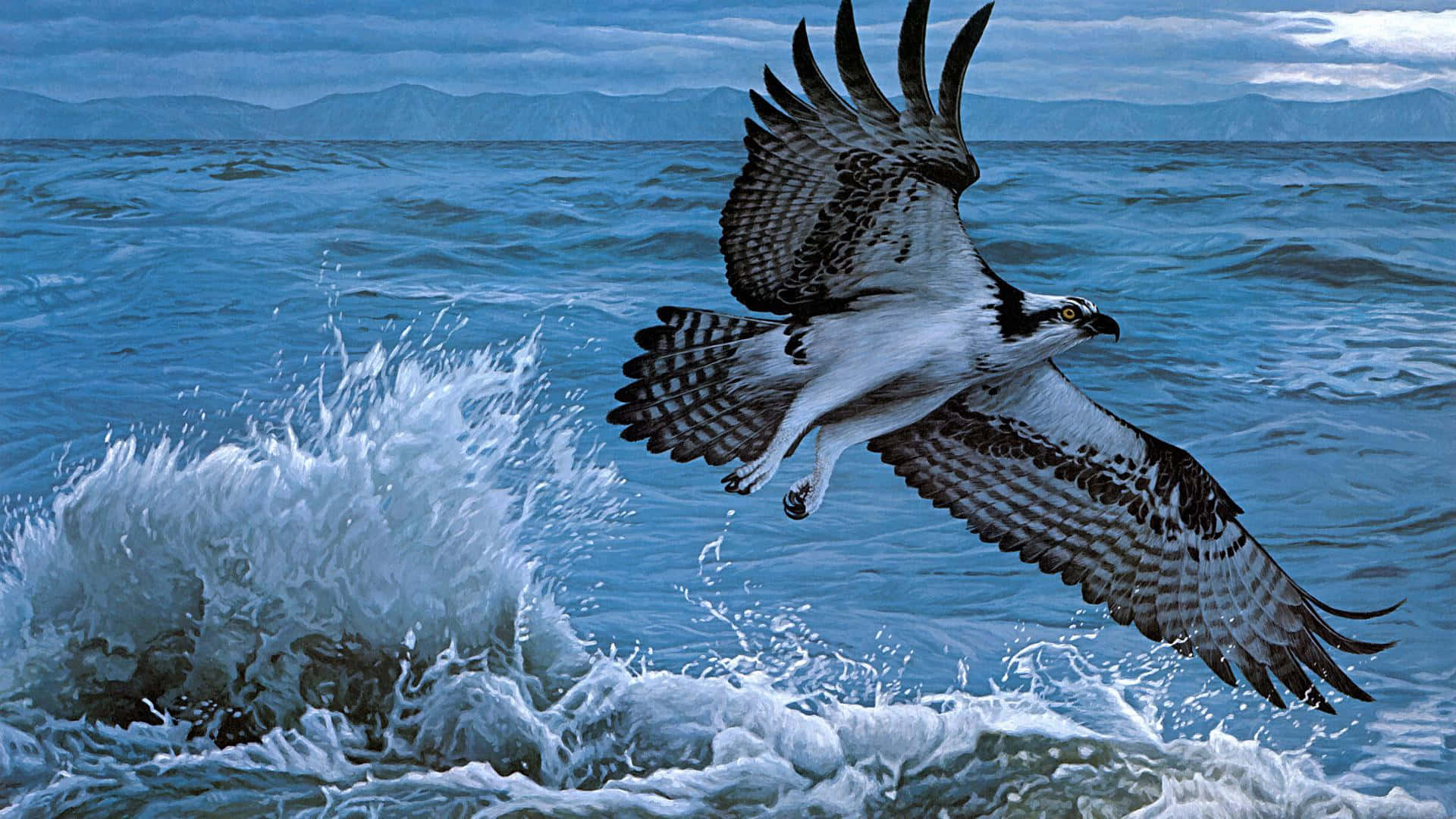 osprey, ocean, mountains, Full HD Desktop Wallpaper