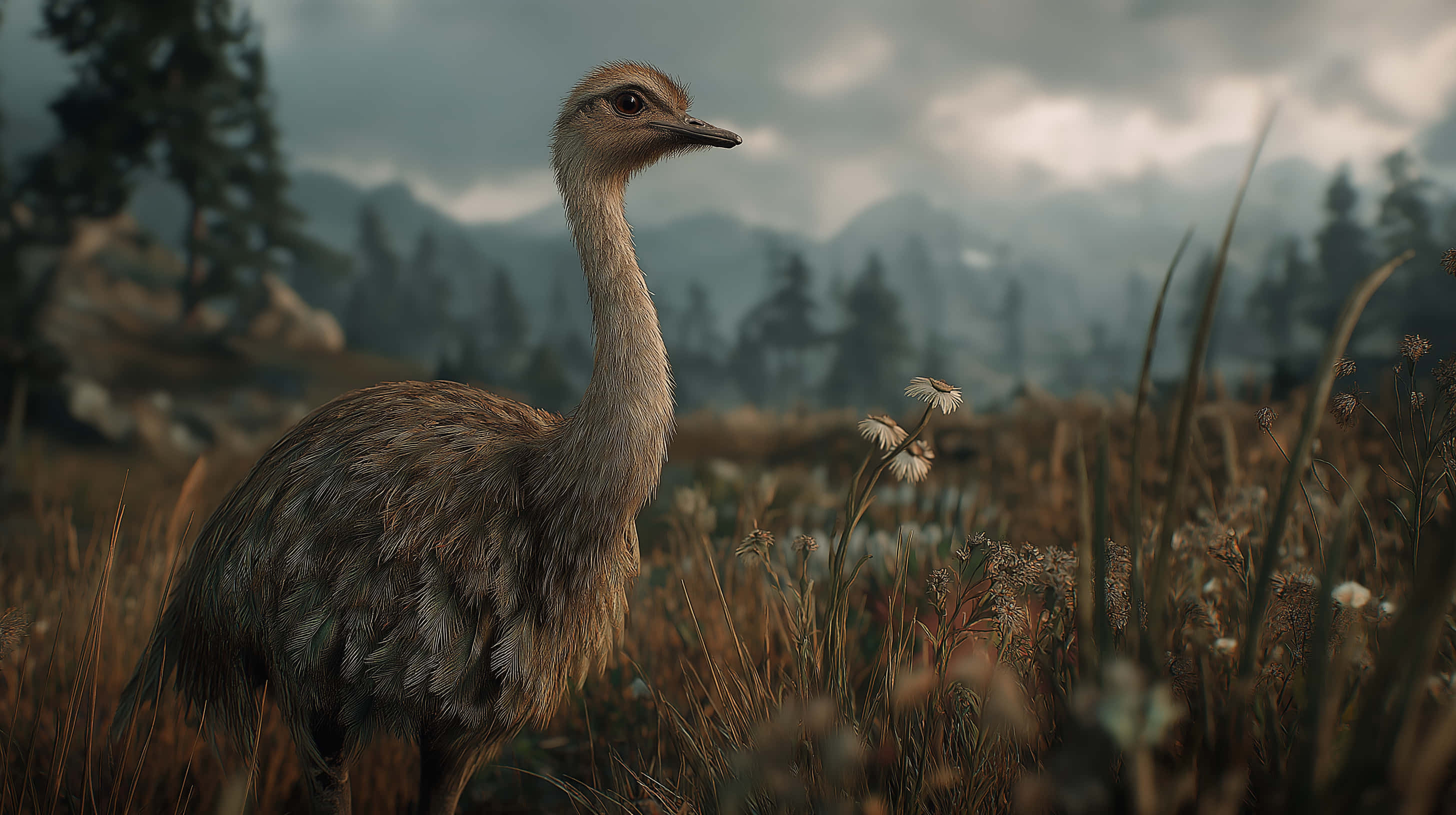 ostrich, grassy landscape, mountains, 2K Desktop Wallpaper