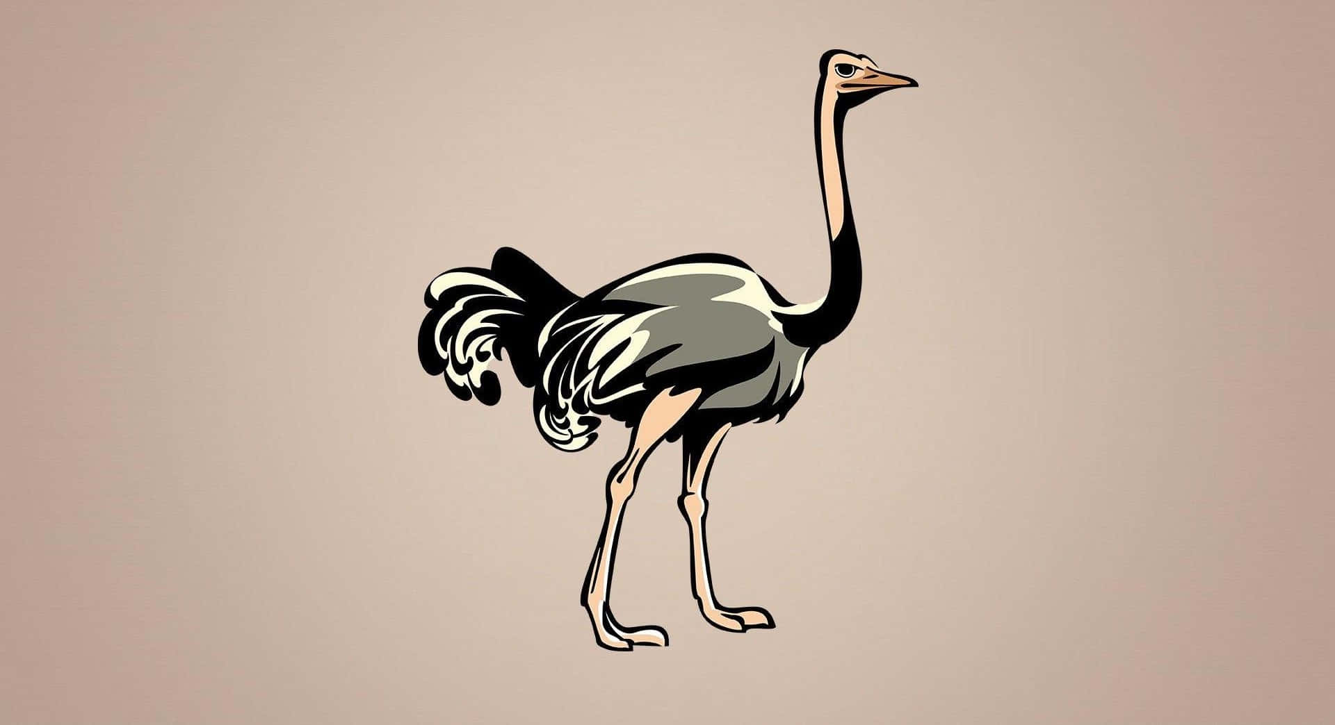 ostrich, muted beige background, bold black outlines, Full HD Desktop Wallpaper