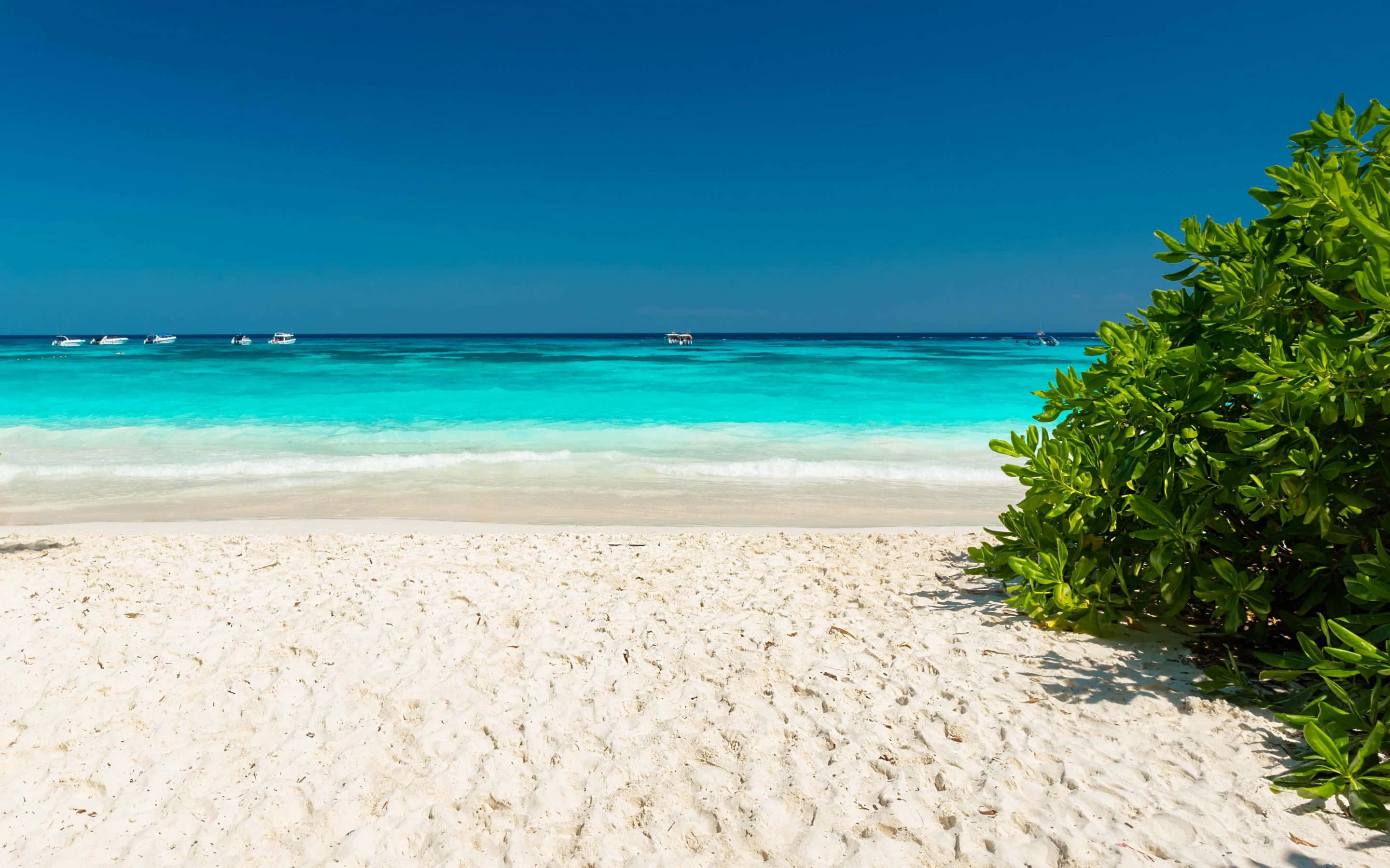 pristine white sandy beach, turquoise waters, clear blue sky, 2K Desktop Wallpaper