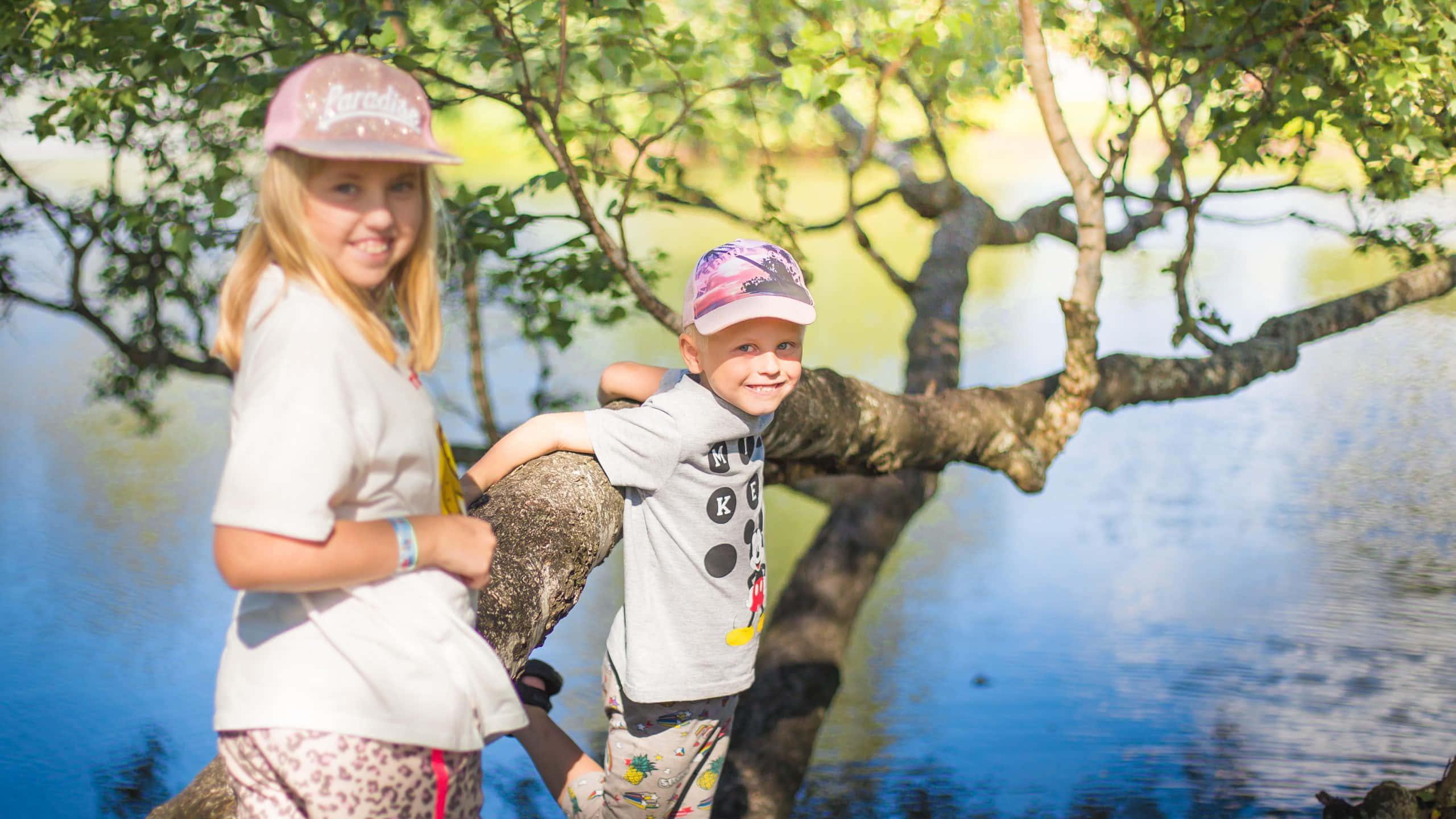 children, caps, tree branch, 2K Desktop Wallpaper