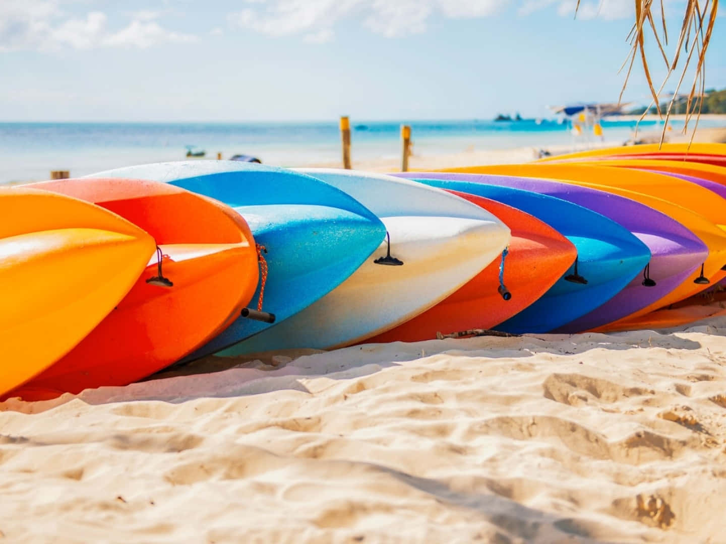 rainbow kayaks, golden sand, turquoise ocean, HD Desktop Wallpaper