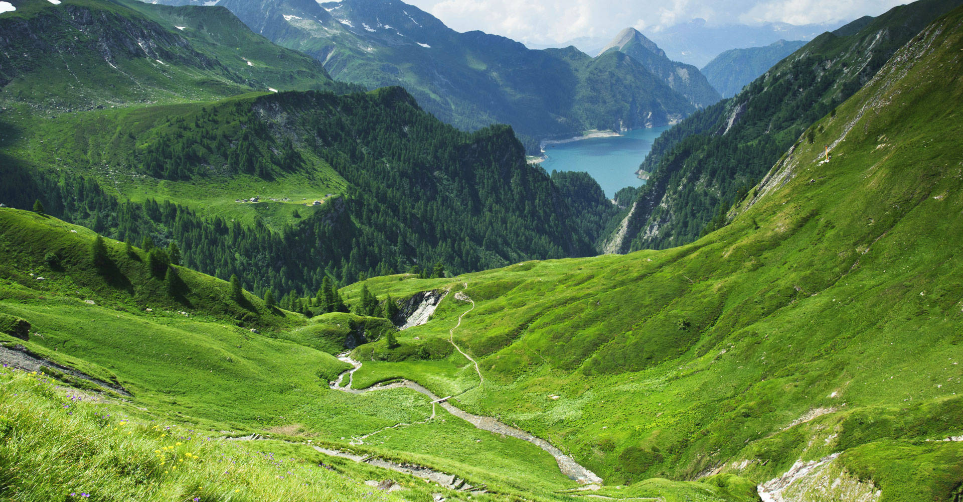 mountainous outlook, lush green alpine meadows, serene blue lake, Full HD Desktop Wallpaper