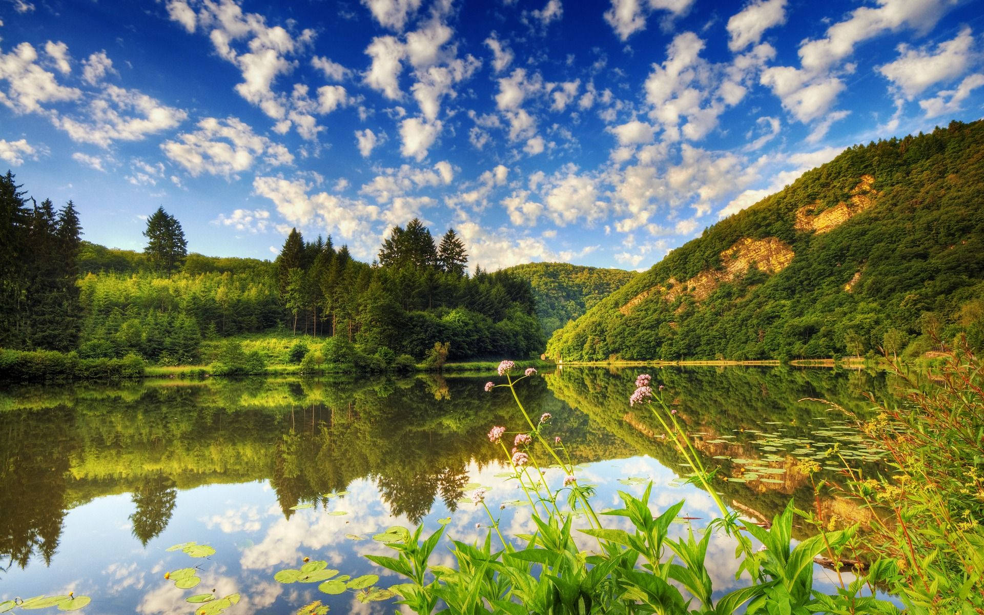 quaint outlook, serene lake, vibrant blue sky, Full HD Desktop Wallpaper