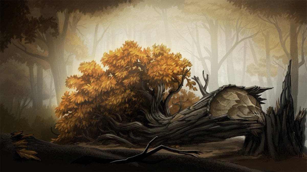 tree, autumn, golden leaves, SD Desktop Wallpaper