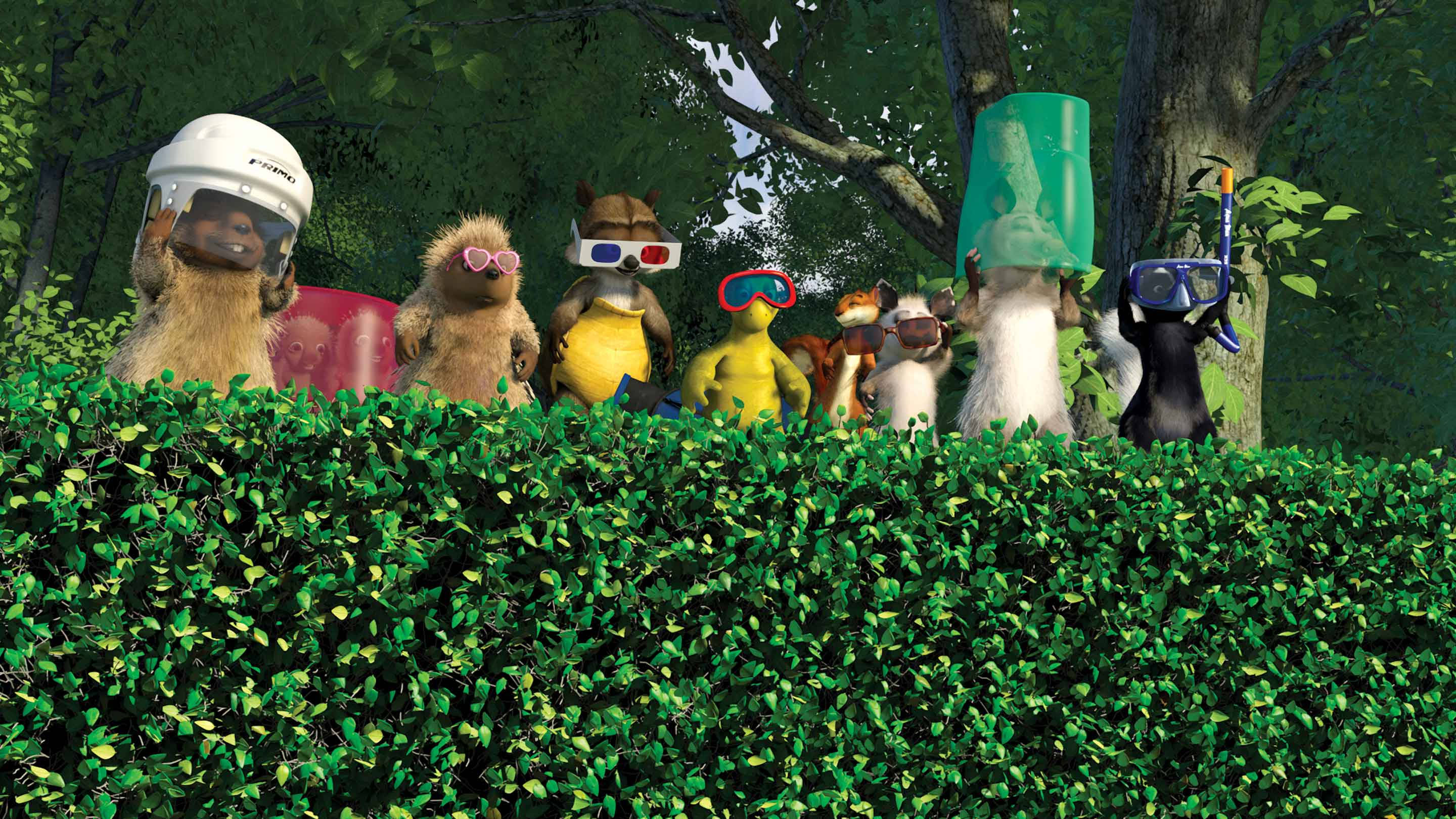 Over The Hedge, sunglasses, lush green hedge, 2K Desktop Wallpaper