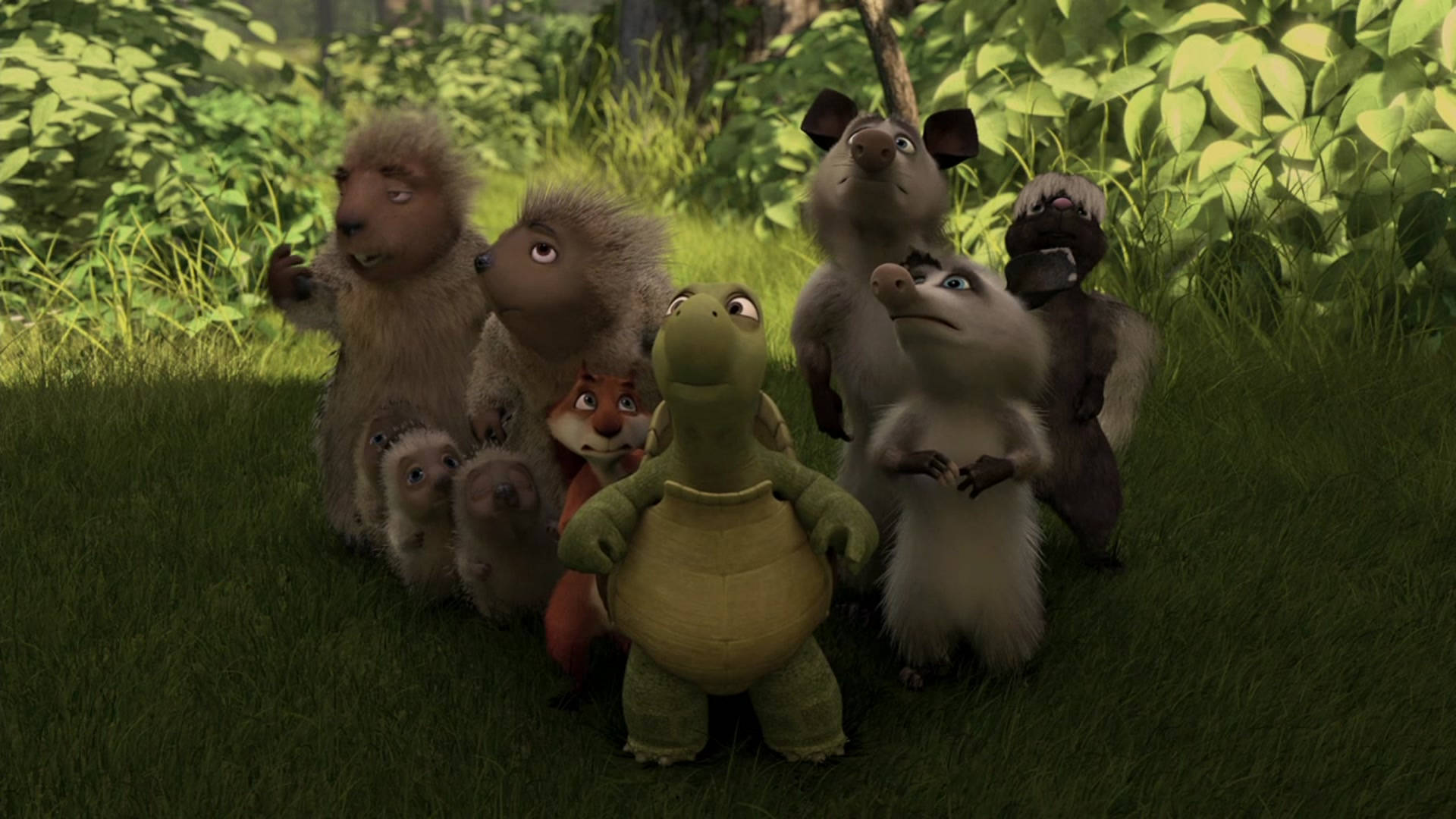Over The Hedge, turtle, porcupines, Full HD Desktop Wallpaper