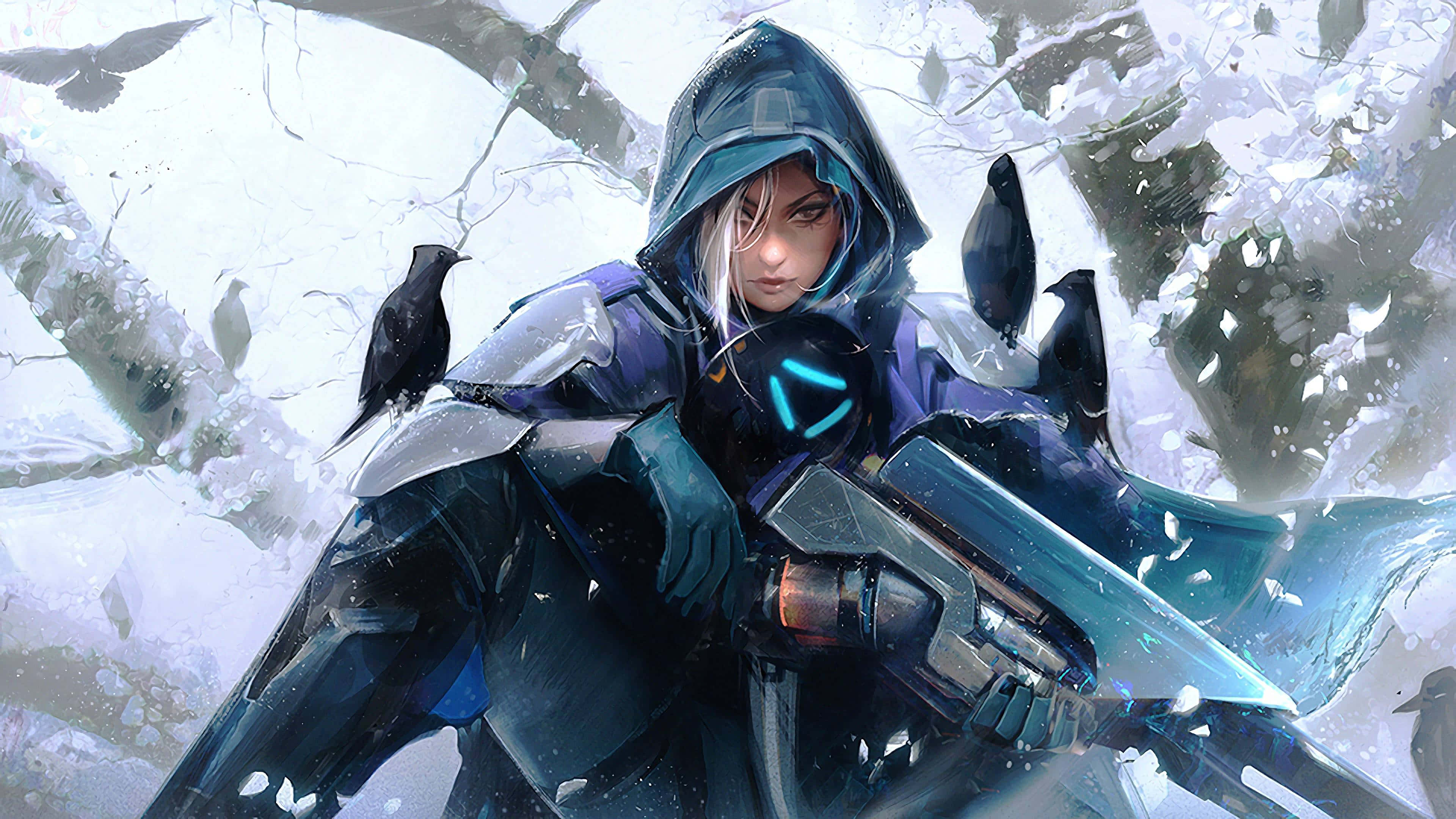 Overwatch Ana, hooded warrior, futuristic armor, 4K Desktop Wallpaper