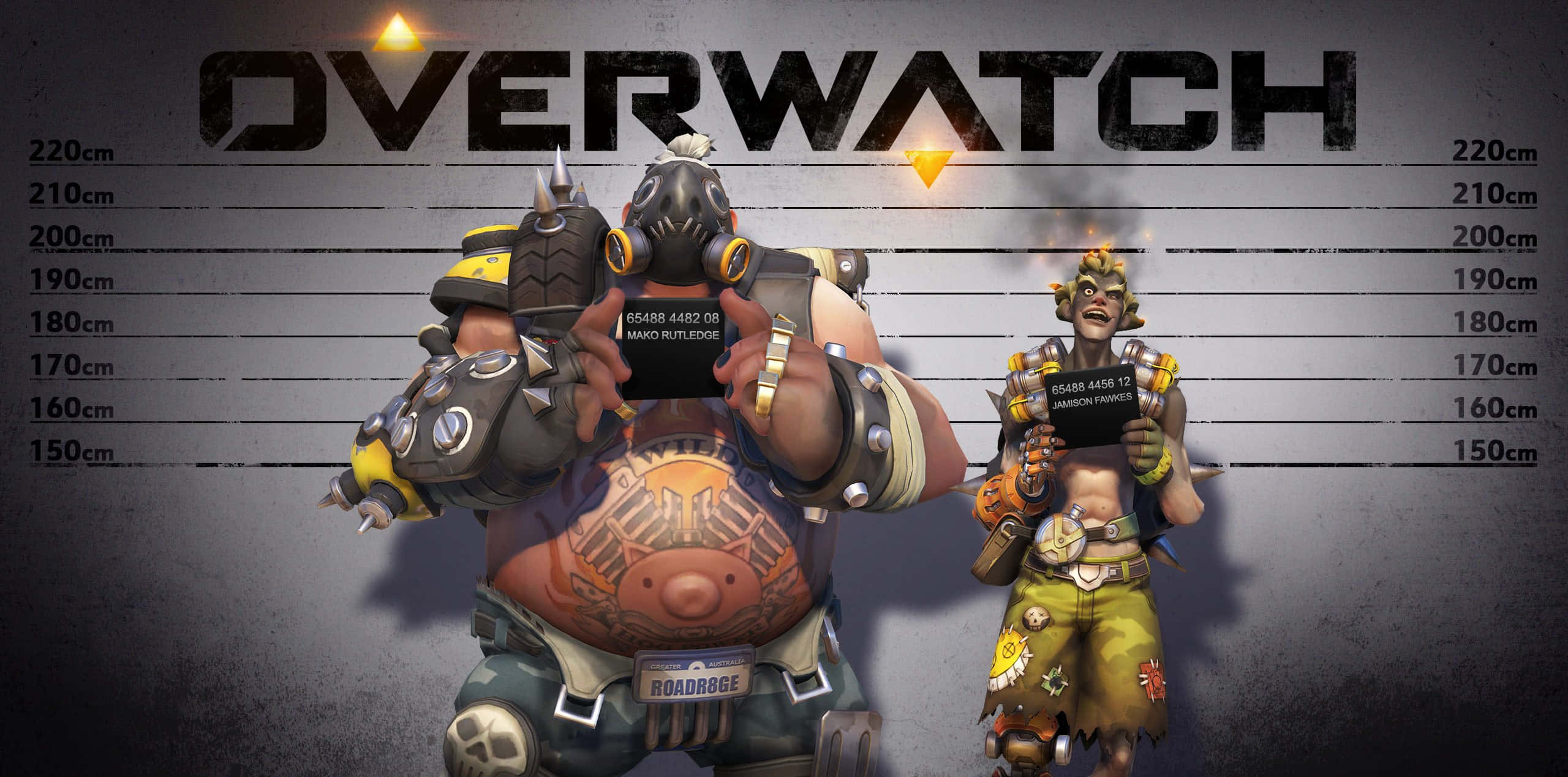 Overwatch, mugshot style, height chart, 2K Desktop Wallpaper